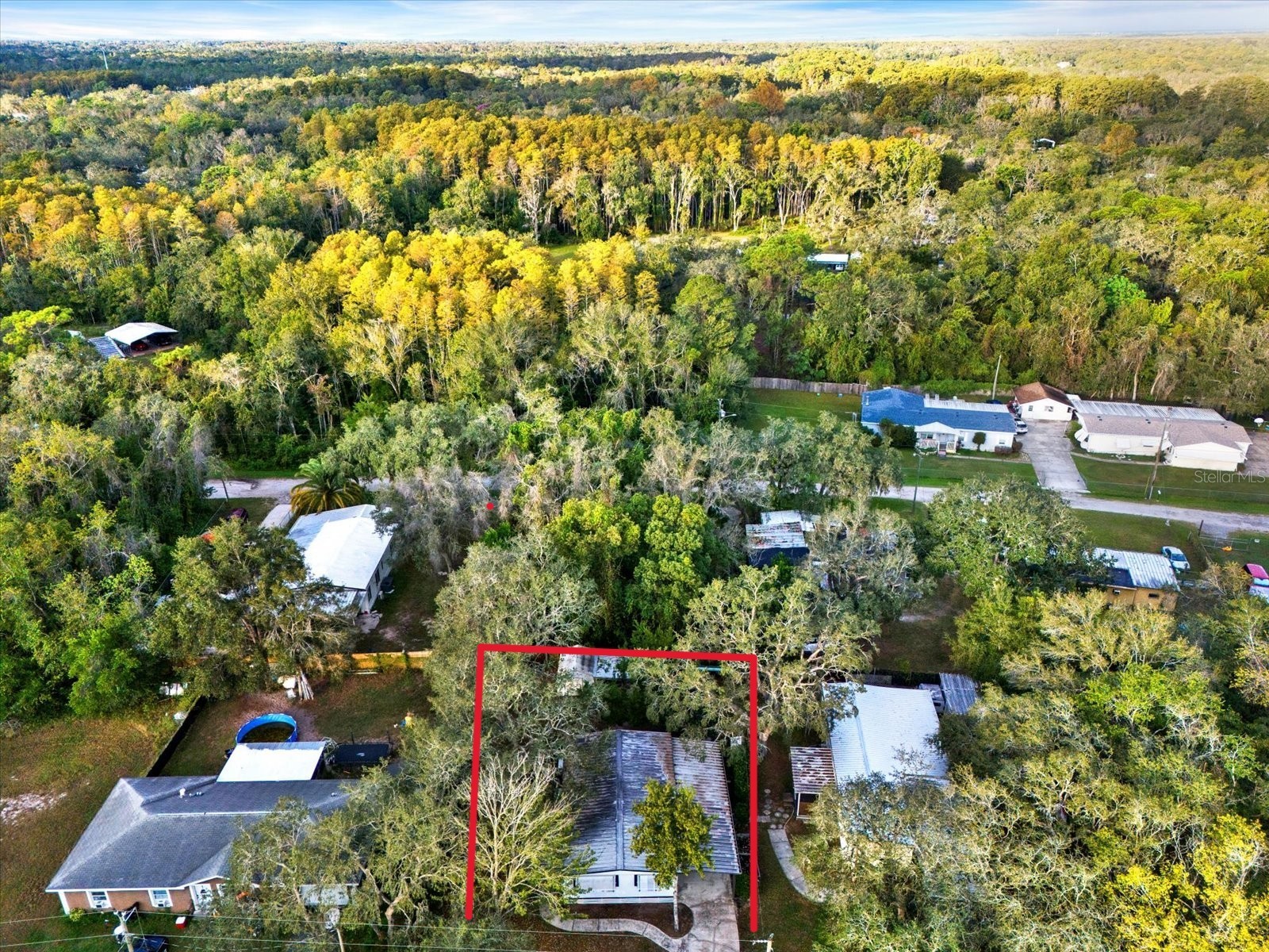 10051 Huntley Street New Port Richey FL 34654 W7885503 image17