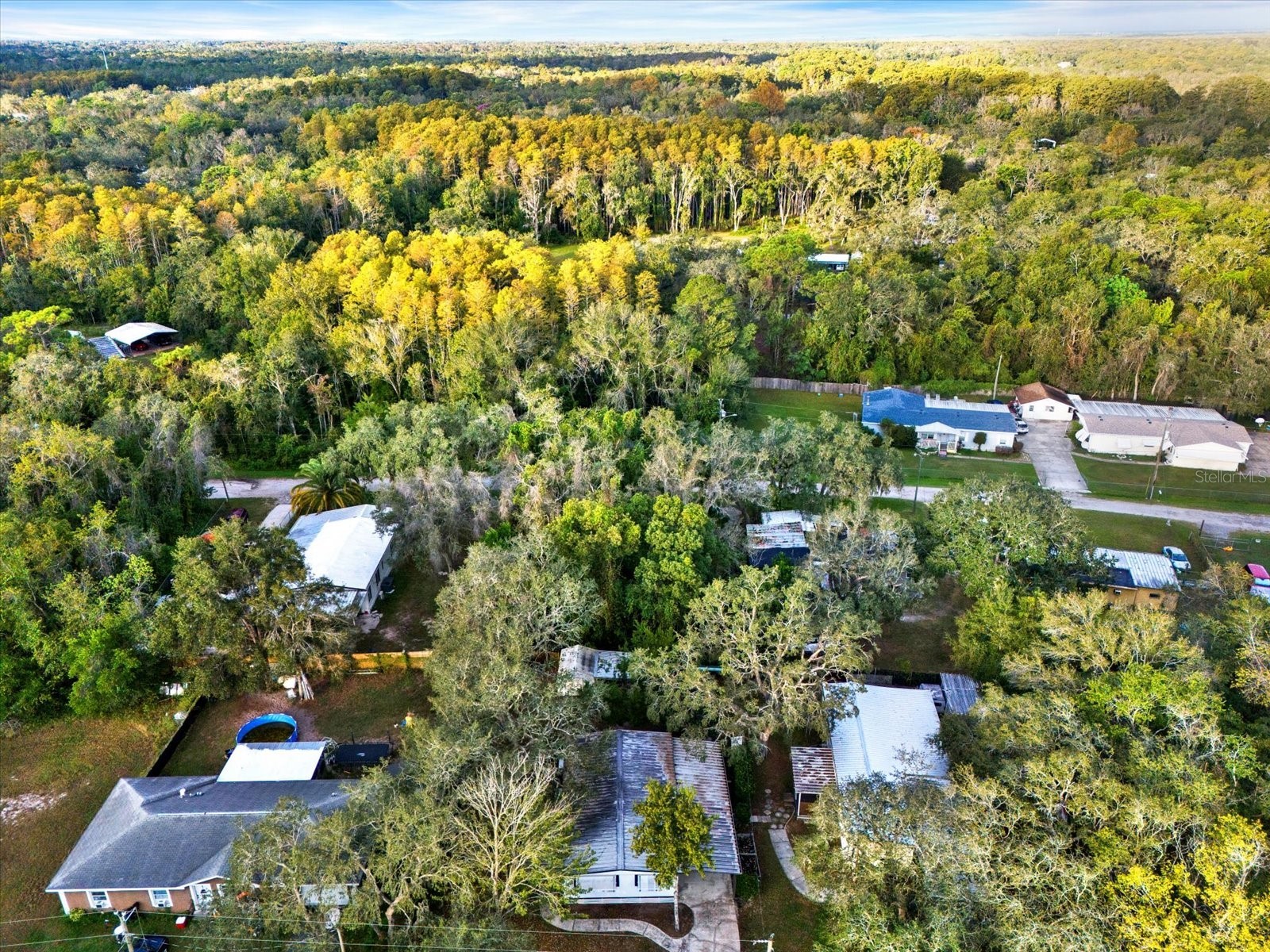 10051 Huntley Street New Port Richey FL 34654 W7885503 image24
