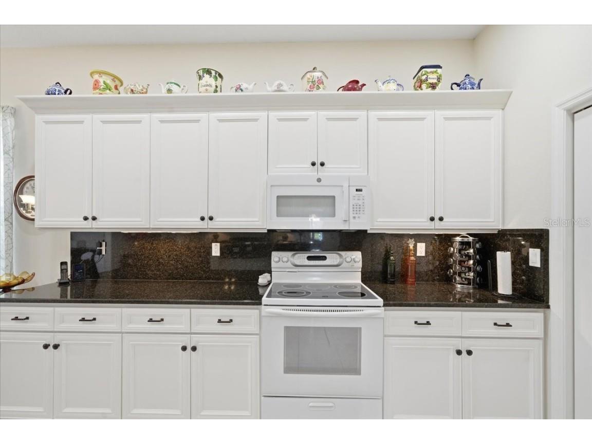 10051 Lenox Boulevard Weeki Wachee FL 34613 W7880274 image17