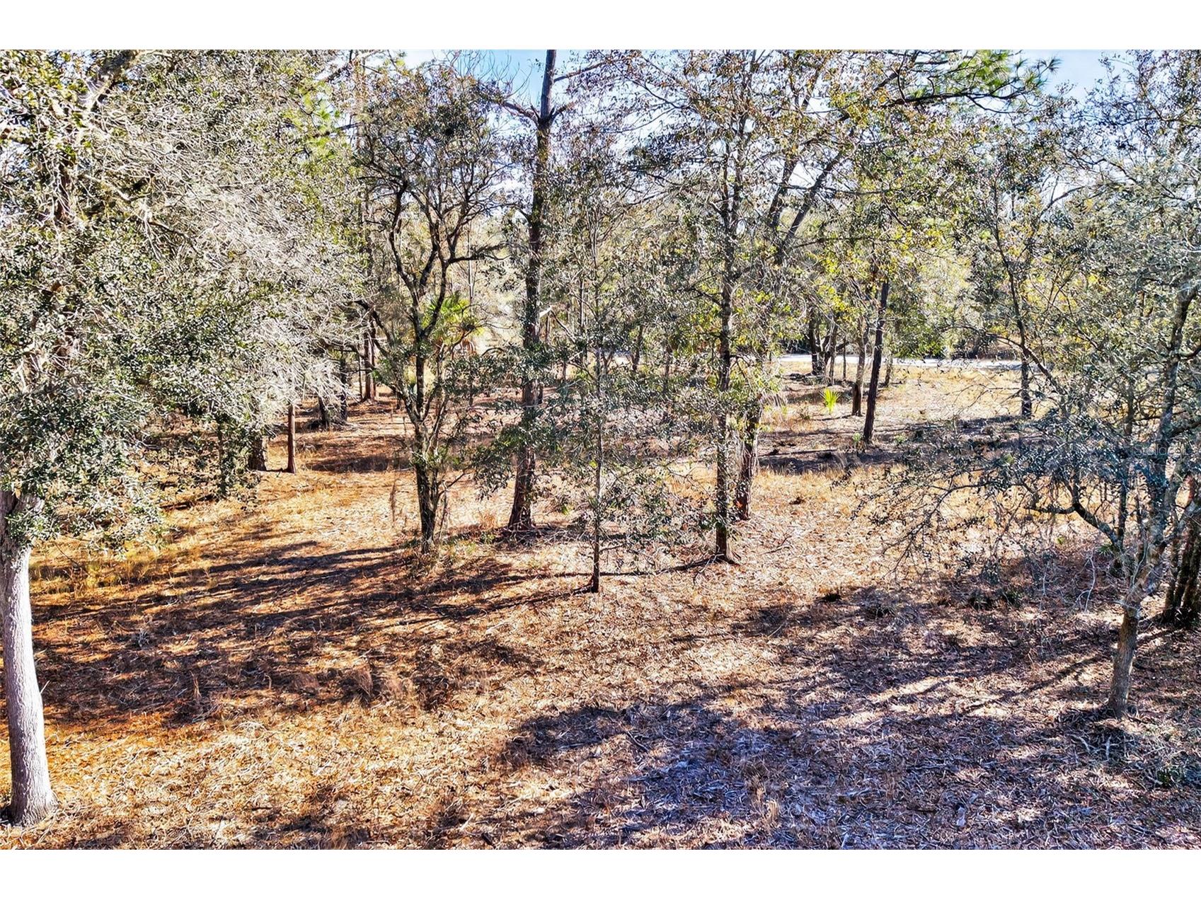 10051 N Marigold Terrace Crystal River FL 34428 OM718270 image11