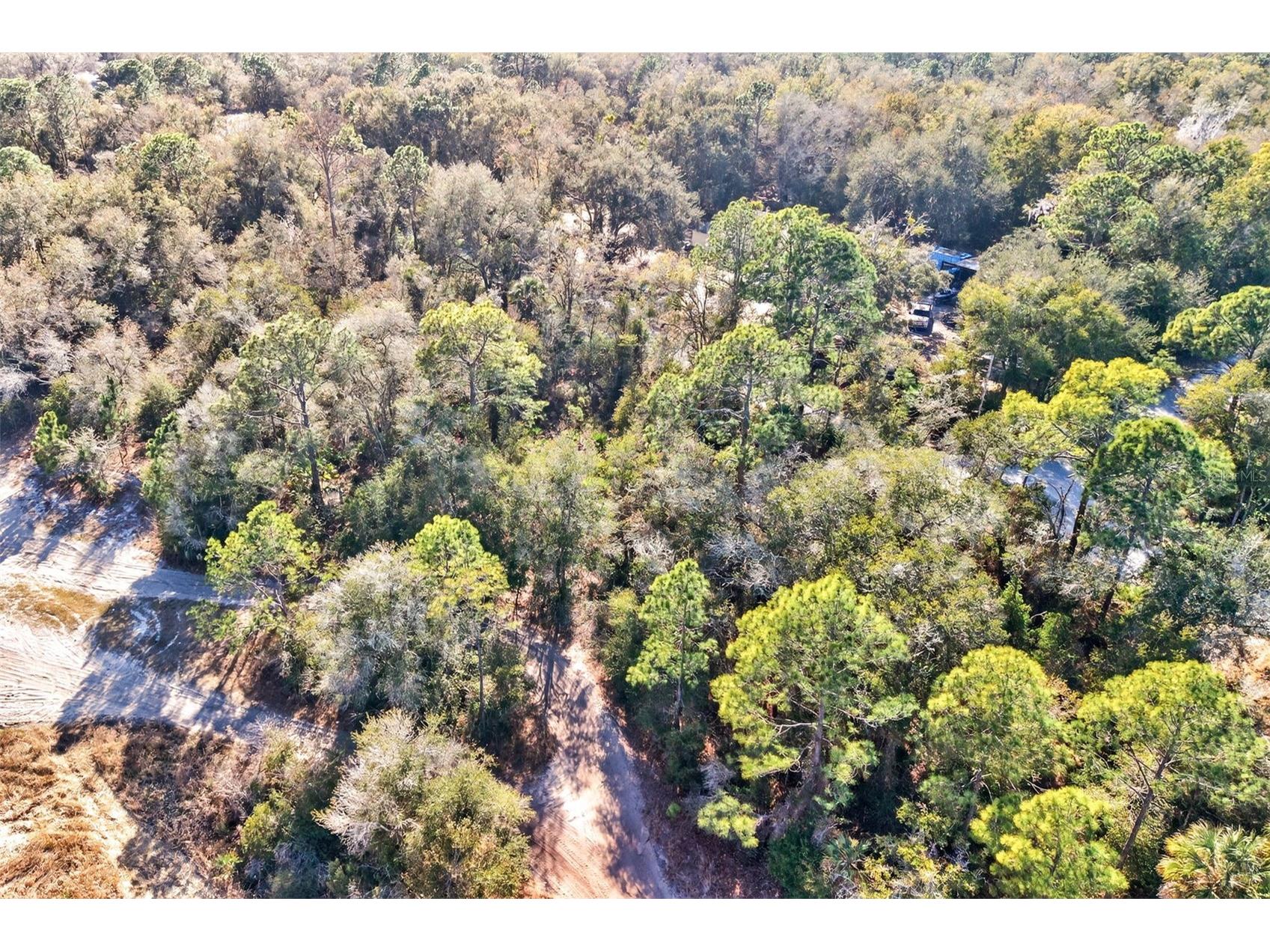 10051 N Marigold Terrace Crystal River FL 34428 OM718270 image13