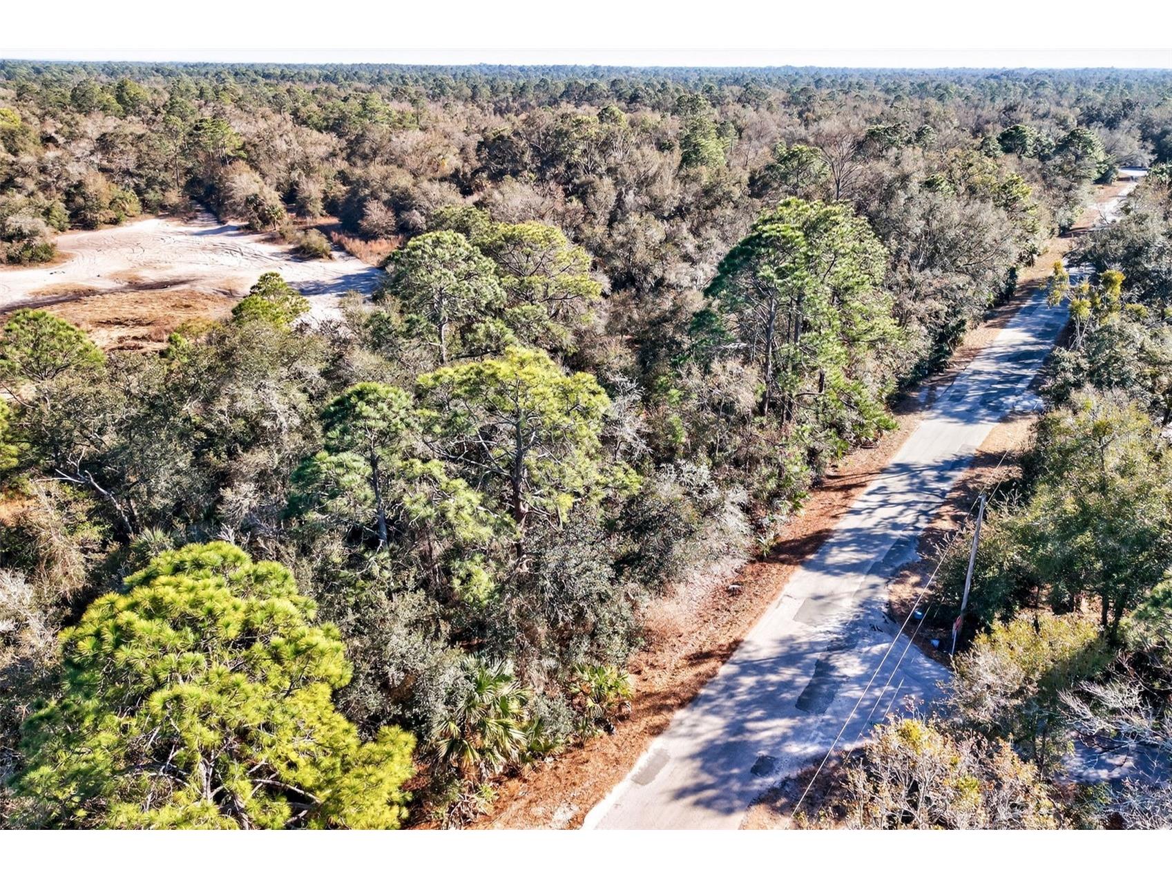 10051 N Marigold Terrace Crystal River FL 34428 OM718270 image14