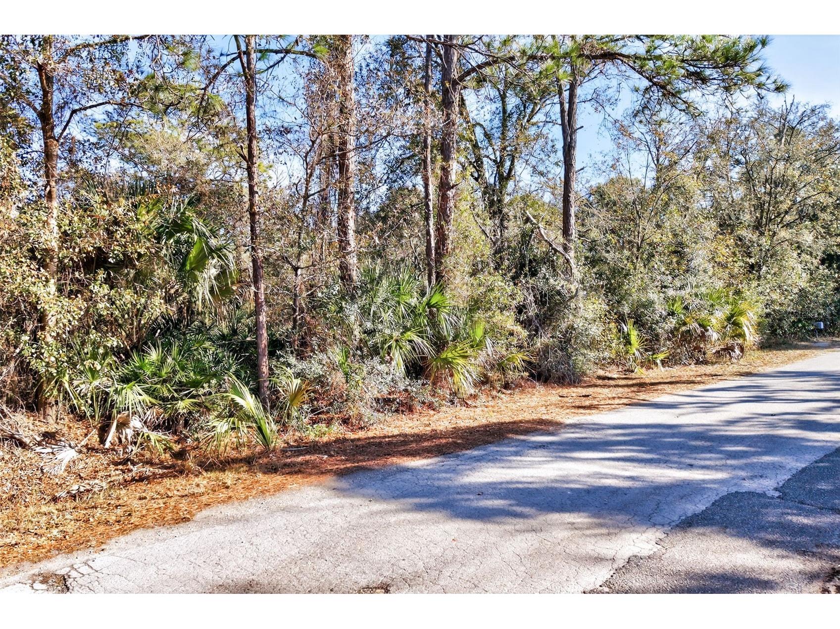 10051 N Marigold Terrace Crystal River FL 34428 OM718270 image16