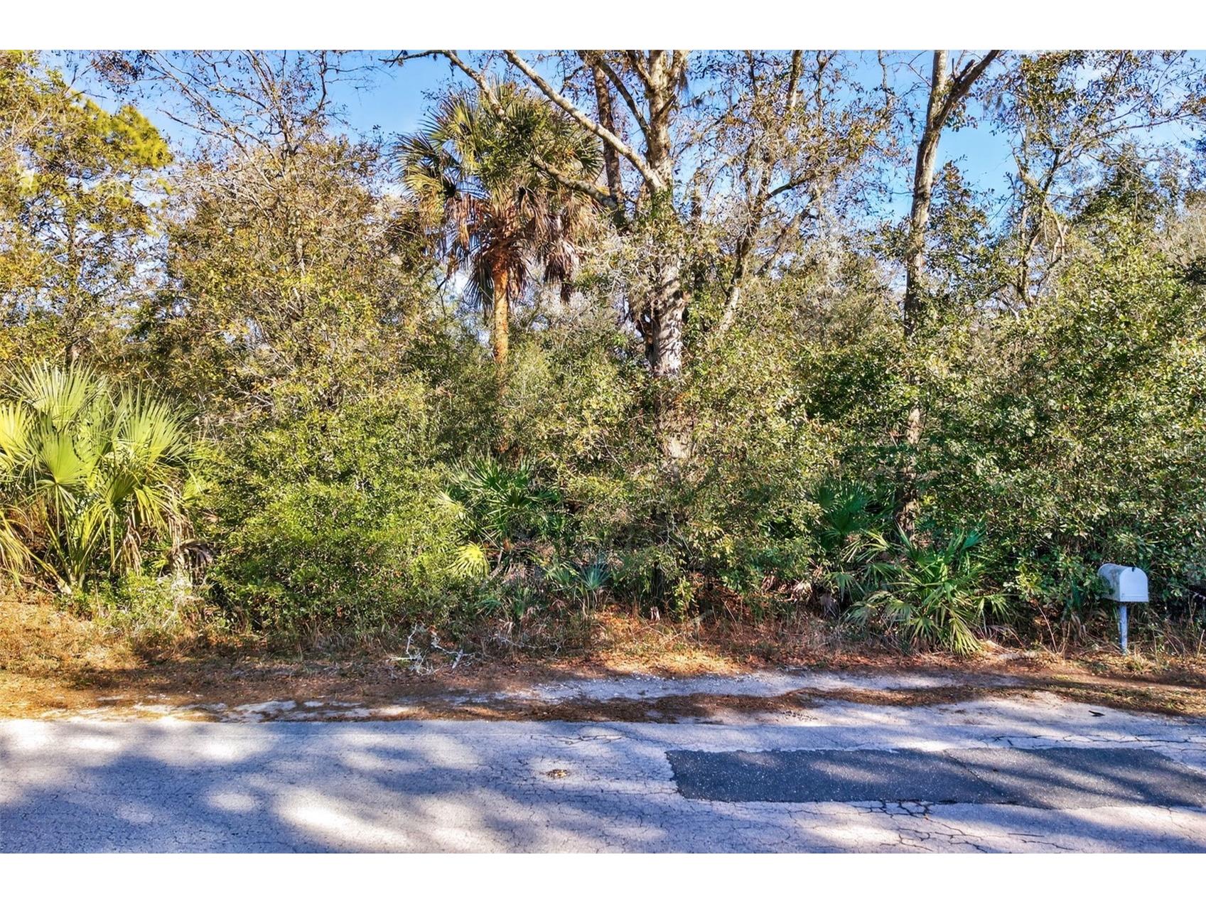 10051 N Marigold Terrace Crystal River FL 34428 OM718270 image17