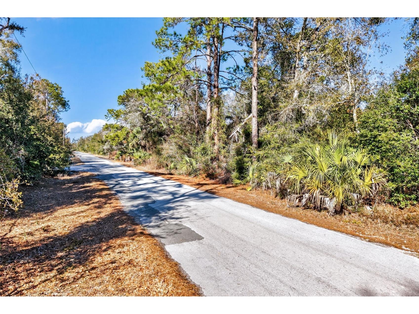 10051 N Marigold Terrace Crystal River FL 34428 OM718270 image18