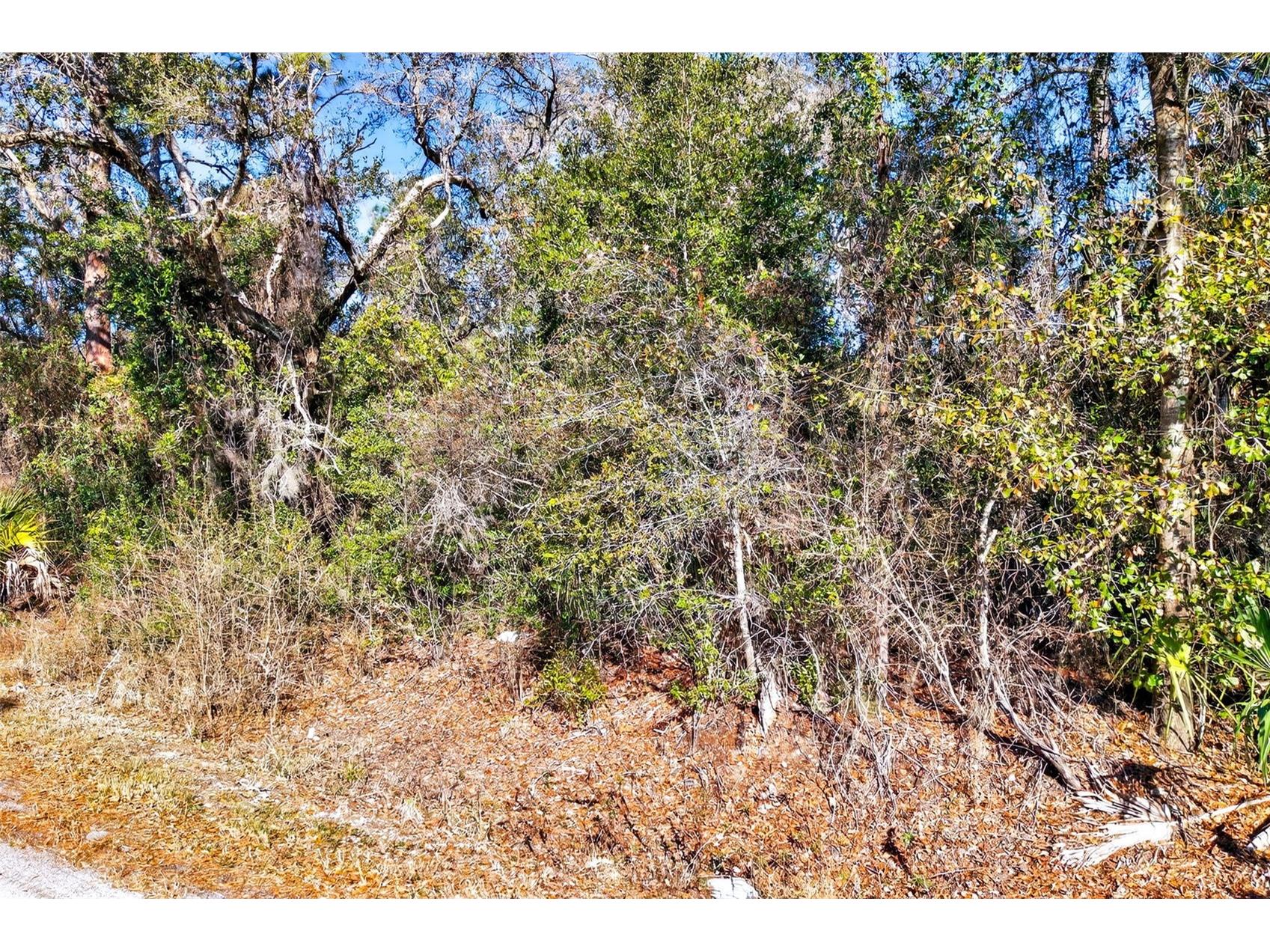 10051 N Marigold Terrace Crystal River FL 34428 OM718270 image19