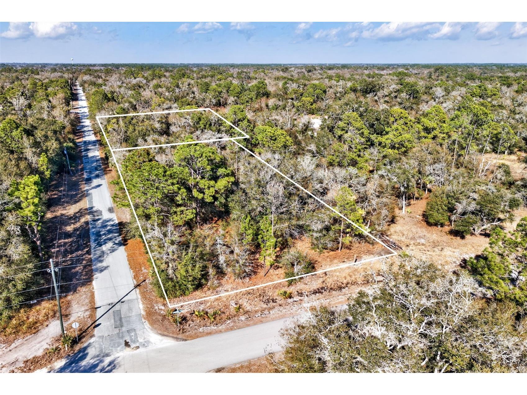 10051 N Marigold Terrace Crystal River FL 34428 OM718270 image2