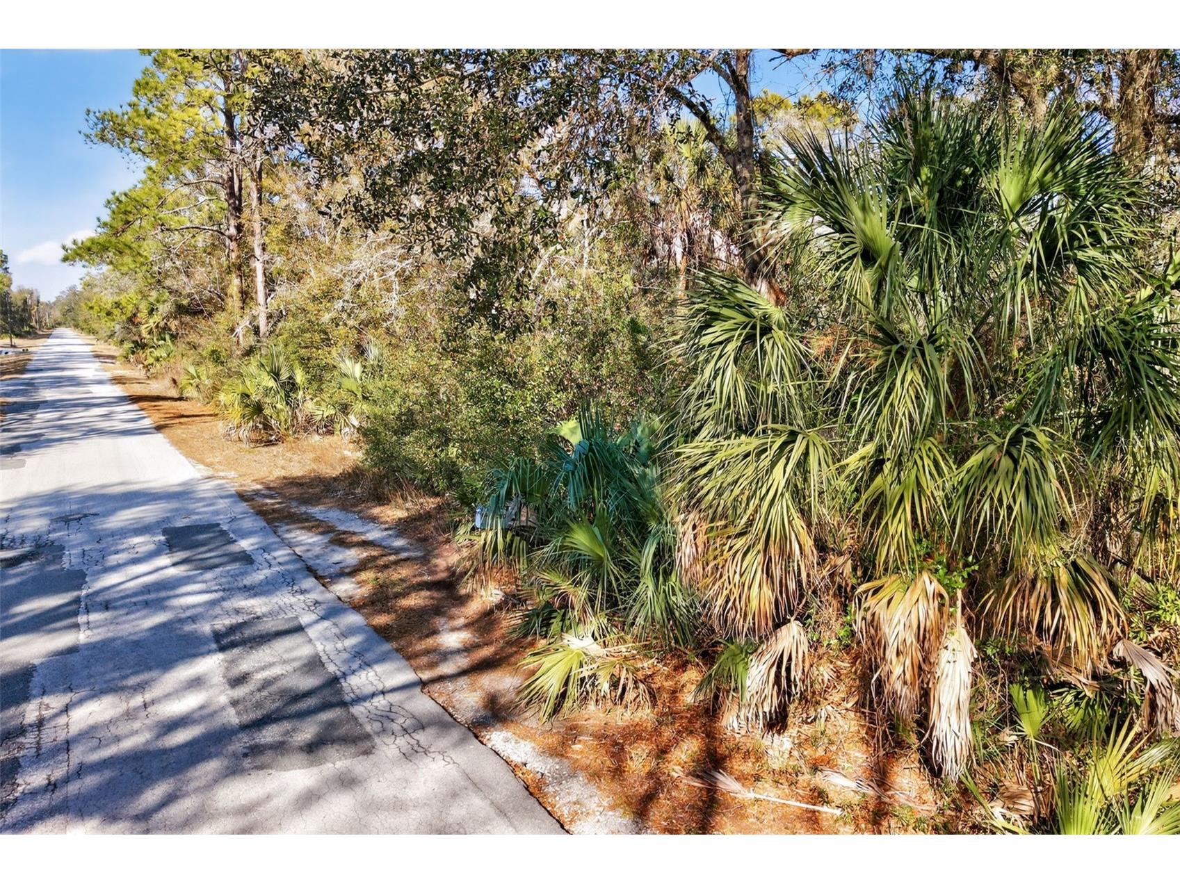 10051 N Marigold Terrace Crystal River FL 34428 OM718270 image20