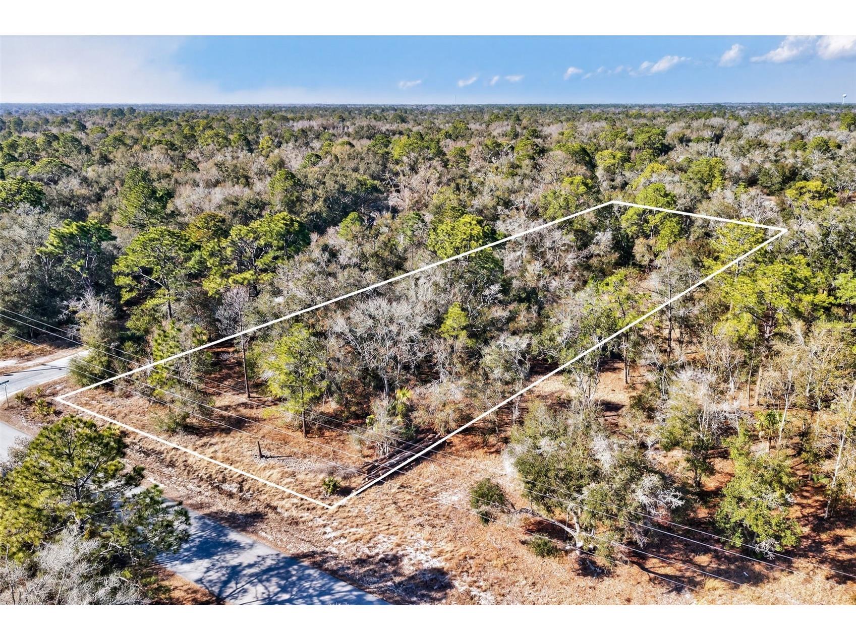 10051 N Marigold Terrace Crystal River FL 34428 OM718270 image3