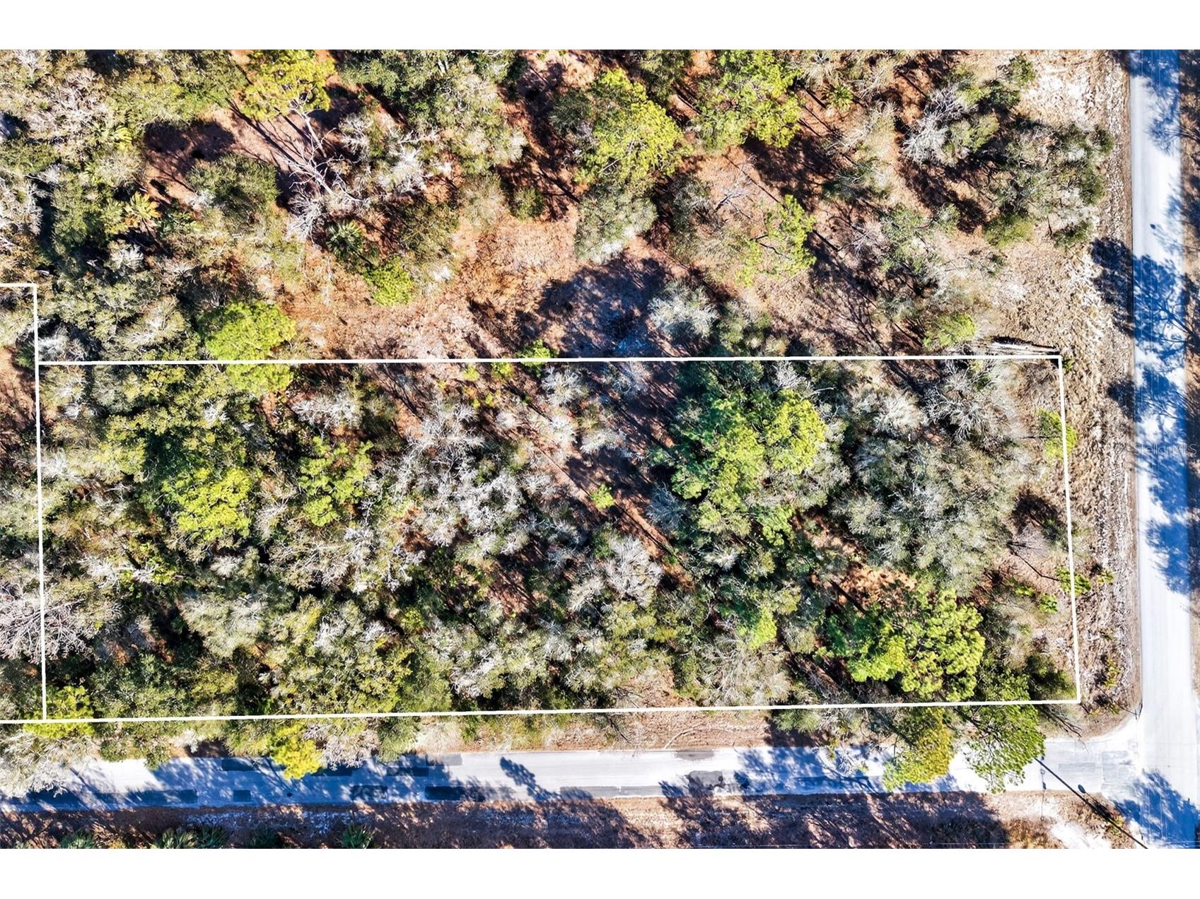 10051 N Marigold Terrace Crystal River FL 34428 OM718270 image4