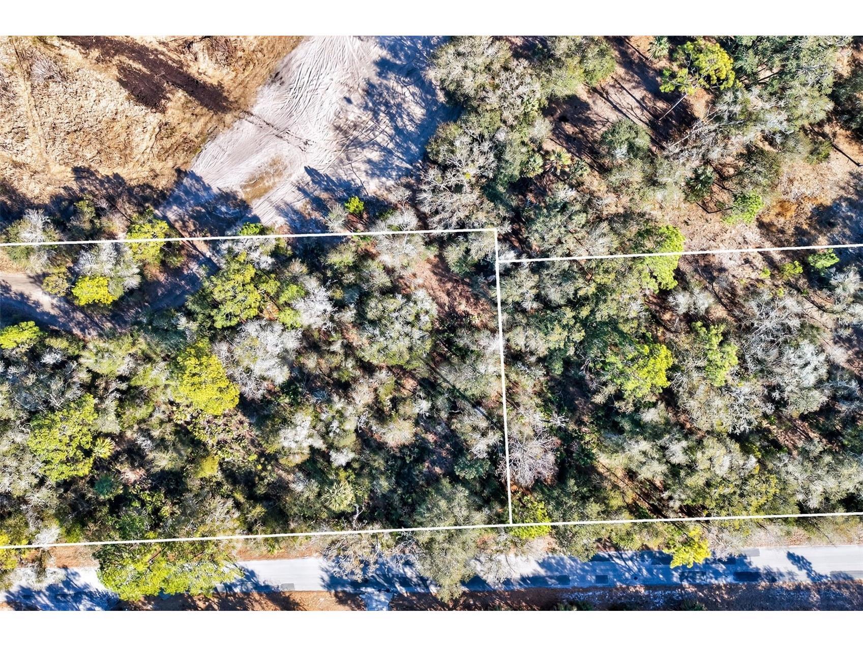 10051 N Marigold Terrace Crystal River FL 34428 OM718270 image5