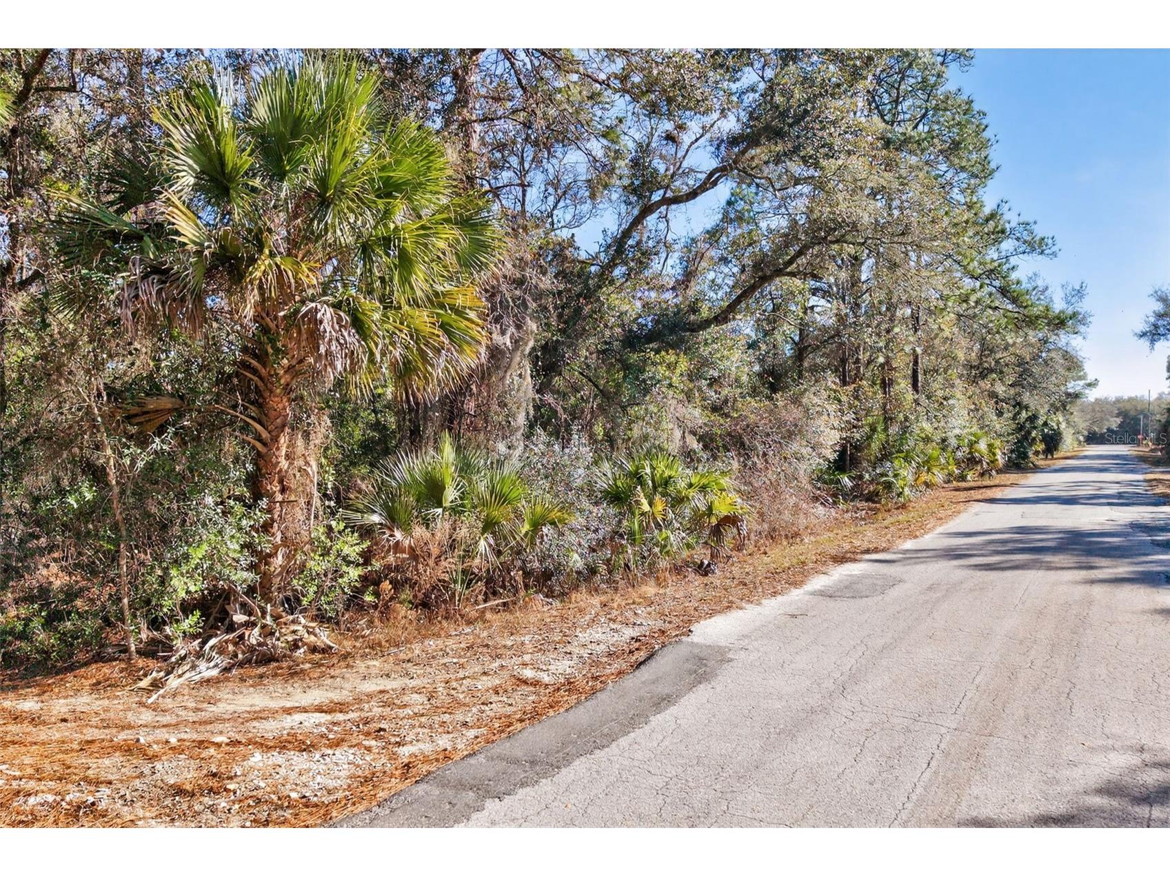 10051 N Marigold Terrace Crystal River FL 34428 OM718270 image6