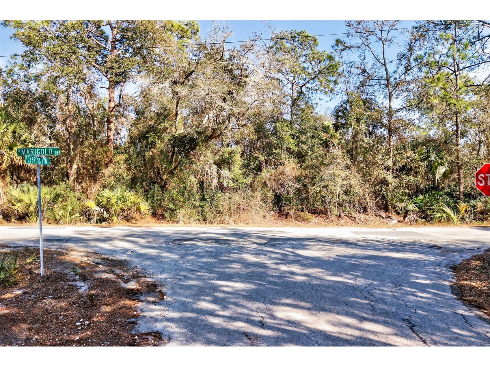 10051 N Marigold Terrace Crystal River FL 34428 OM718270 image7