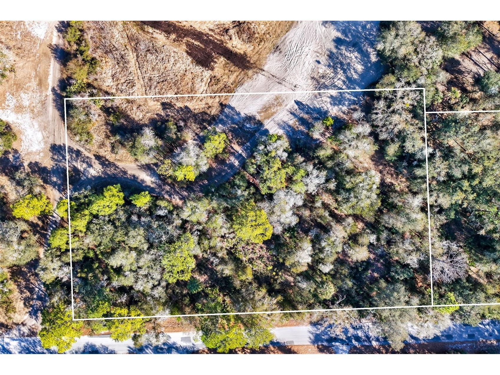 10051 N Marigold Terrace Crystal River FL 34428 OM718270 image8