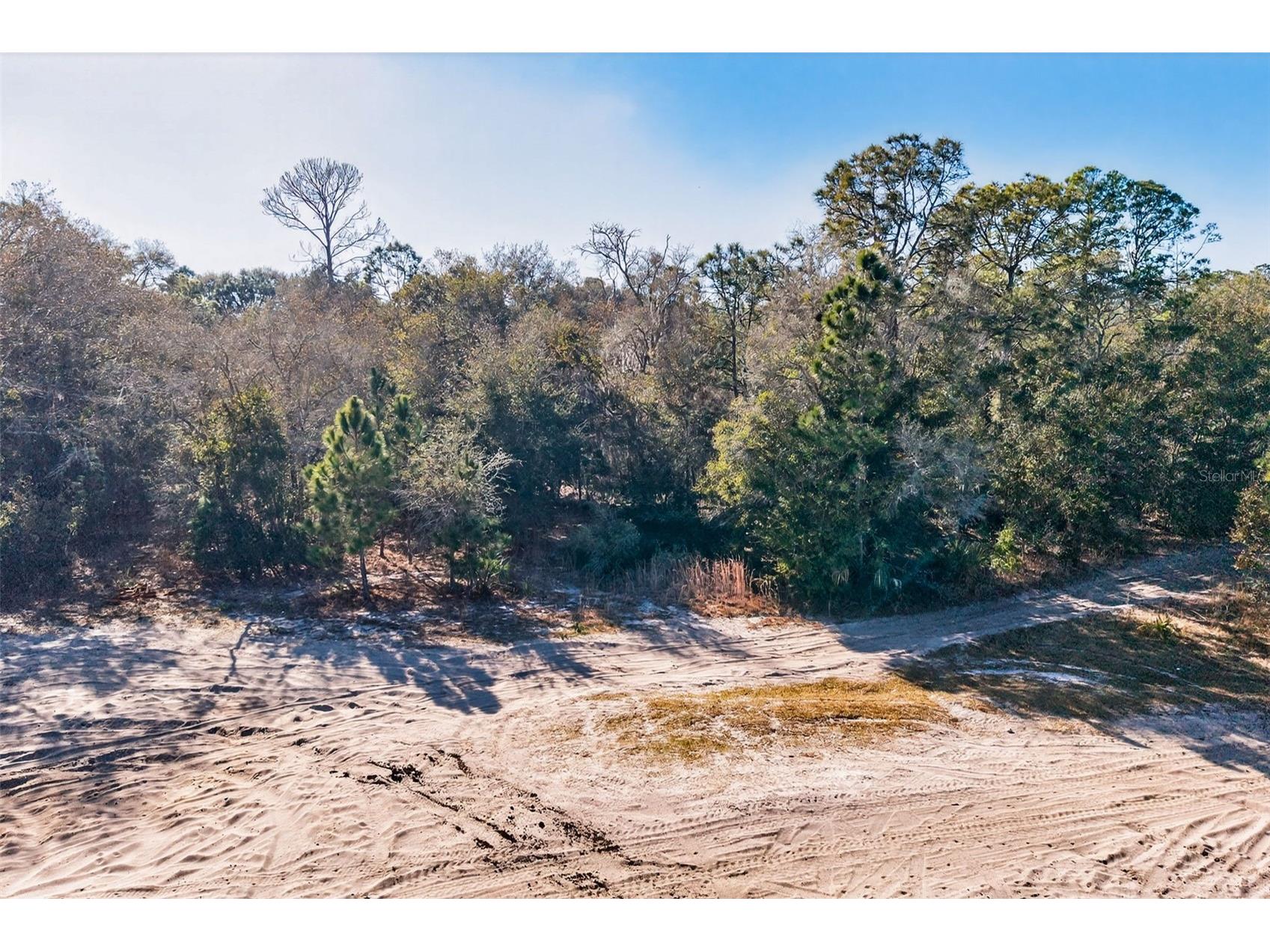 10051 N Marigold Terrace Crystal River FL 34428 OM718270 image9