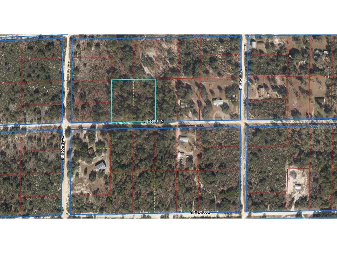 10051 NE 88th Lane Bronson FL 32621 OM645355 image1