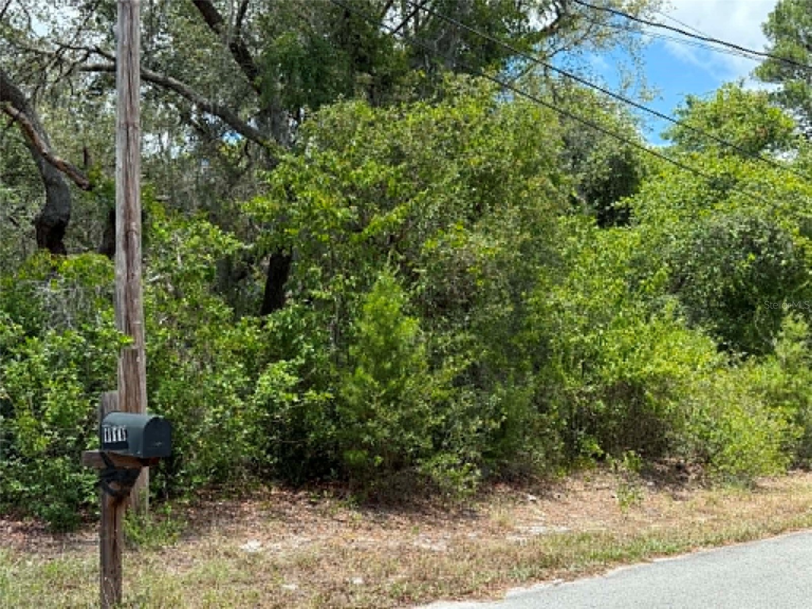 10051 Waddell Street New Port Richey FL 34654 TB8523363 image3