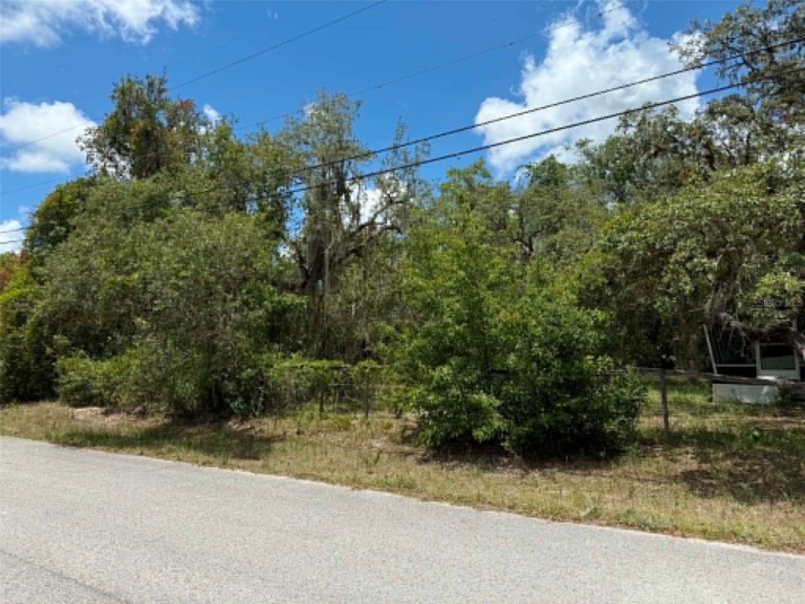 10051 Waddell Street New Port Richey FL 34654 TB8523363 image5