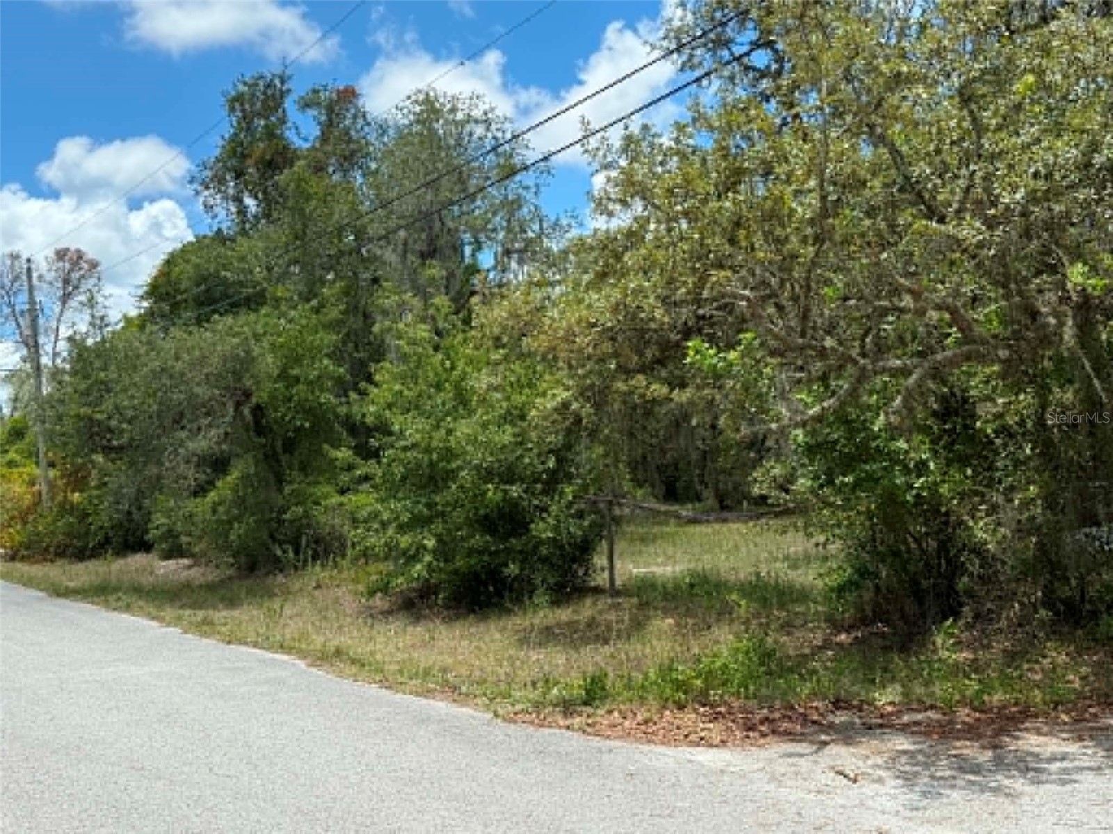 10051 Waddell Street New Port Richey FL 34654 TB8523363 image6