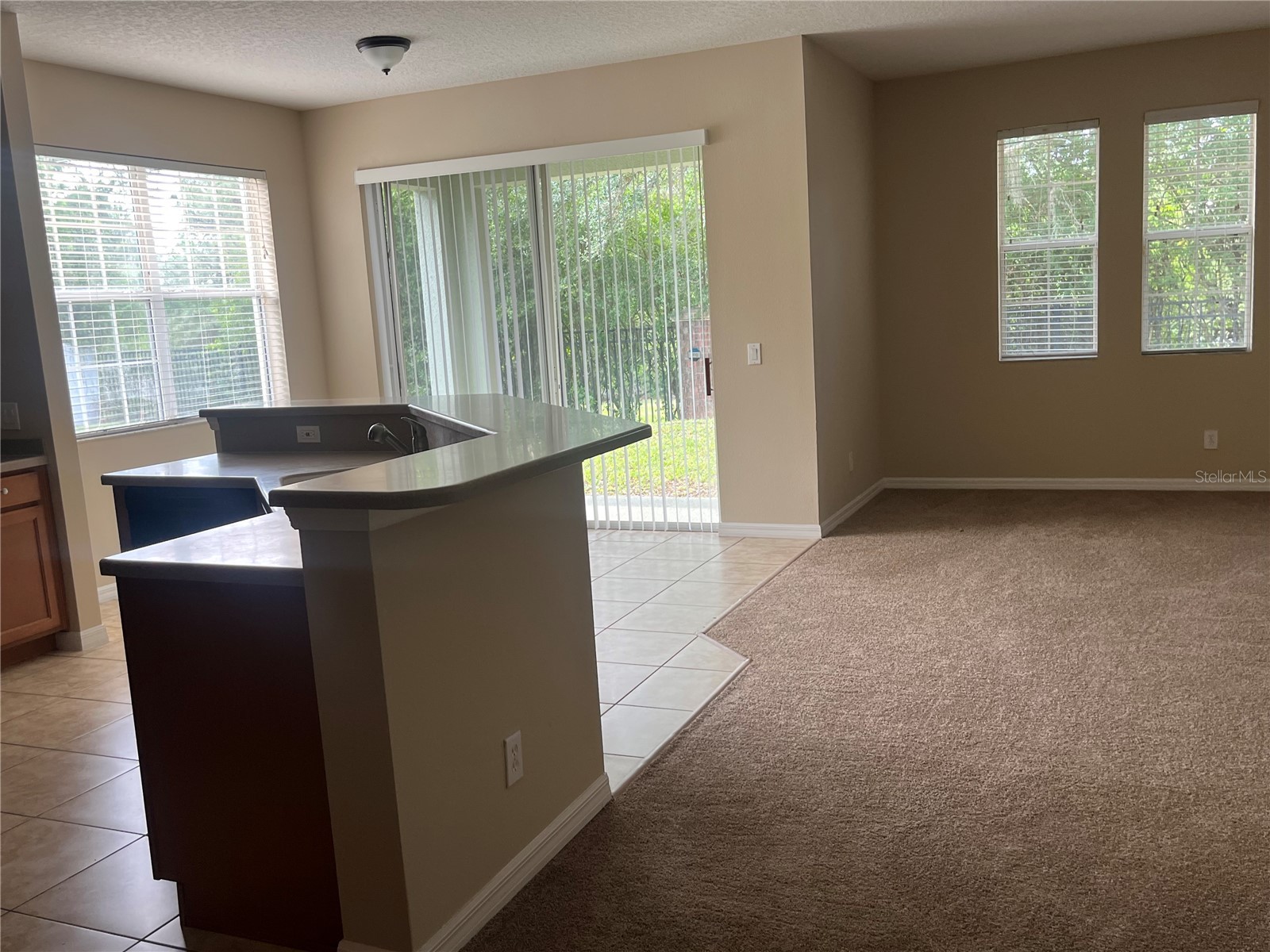 10052 Kimble Field Way Orlando FL 32827 - LAKE NONA O6345590 image8