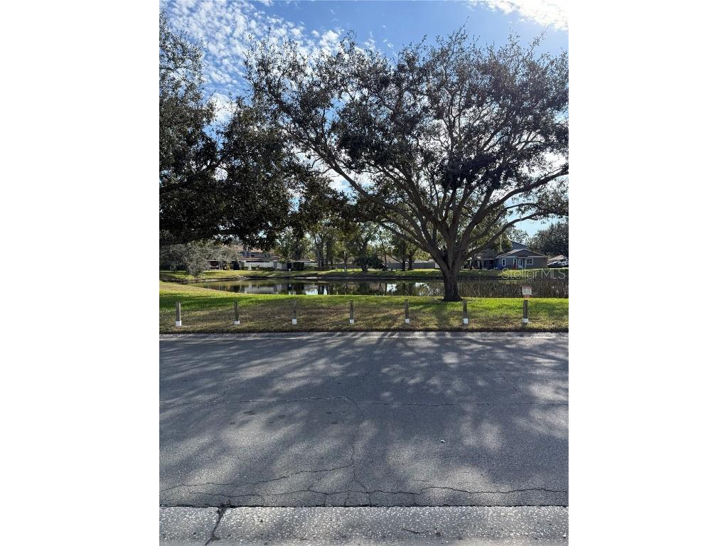 10053 Lake Oak Circle Tampa FL 33624 TB8458194 image3