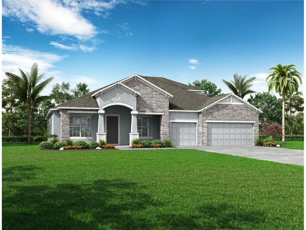 10054 Dolphin Gull Circle Thonotosassa FL 33592 O6167519 image1