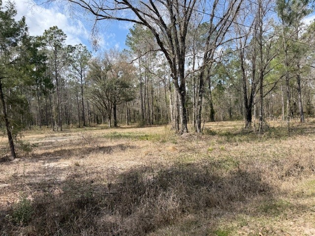10055 Flikkema Avenue Hastings FL 32145 FC316474 image1