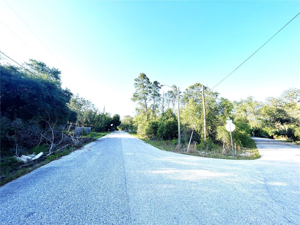 10055 Windel Street New Port Richey FL 34654 U8199824 image1