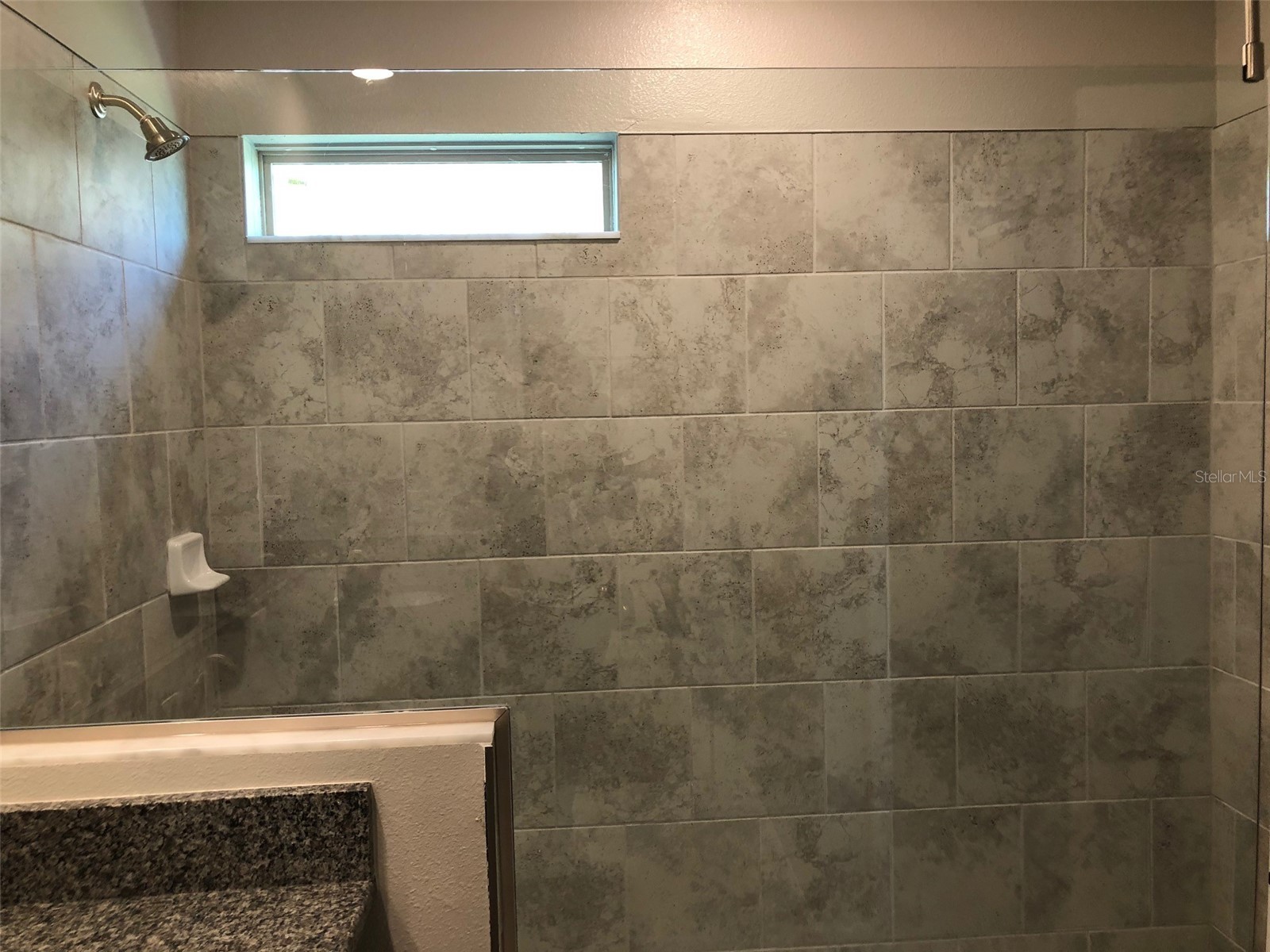 10056 Corso Milano Drive Tampa FL 33625 S5152374 image12