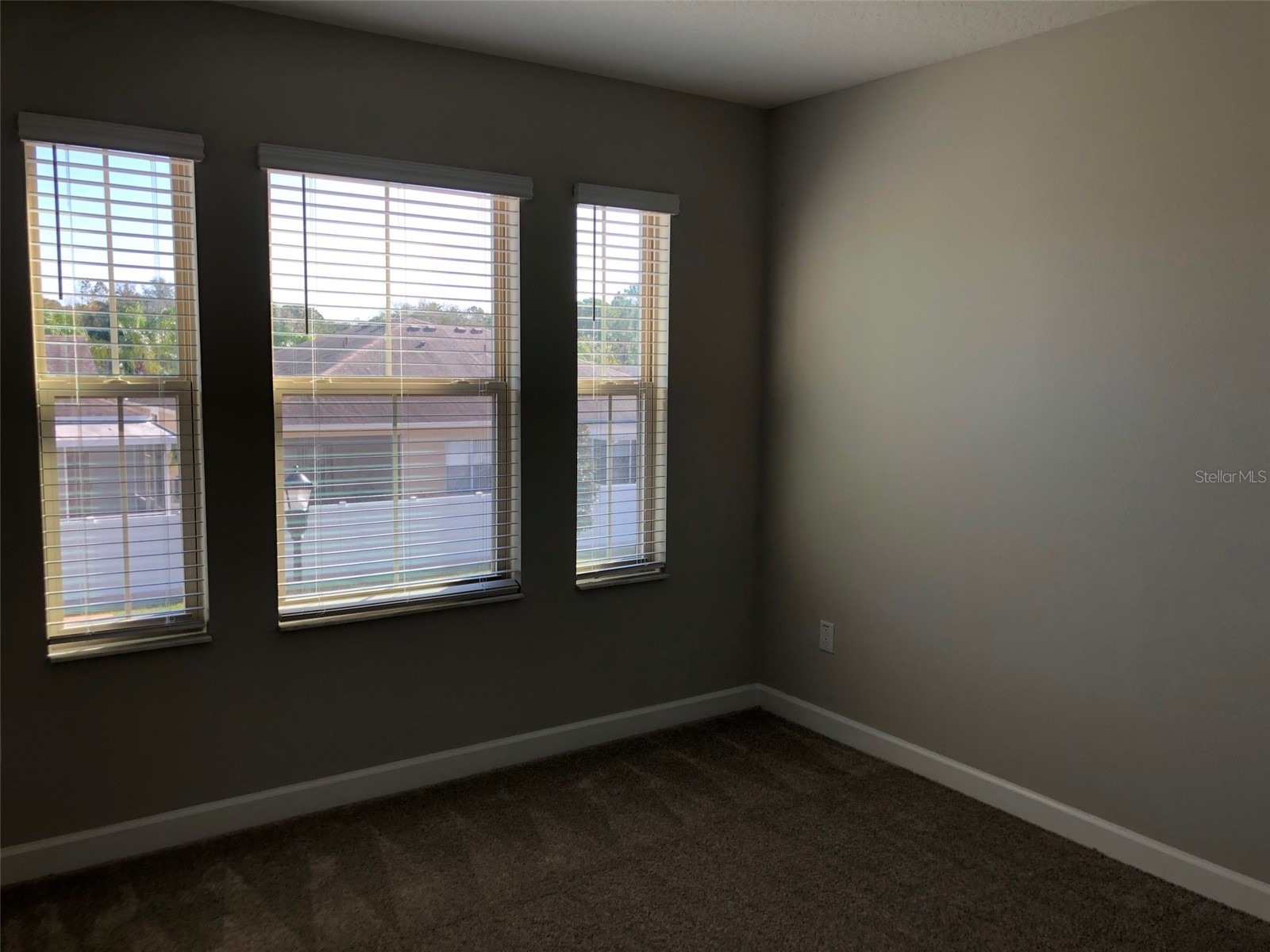 10056 Corso Milano Drive Tampa FL 33625 S5152374 image18
