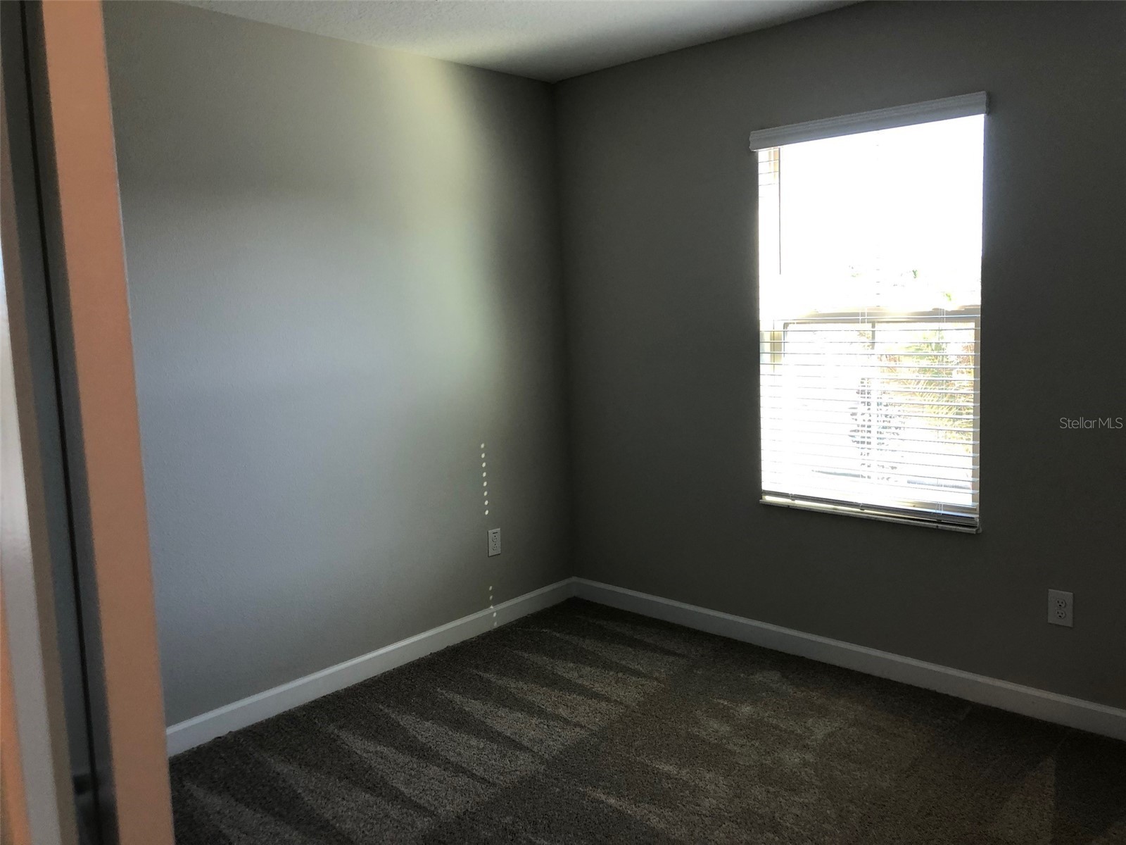 10056 Corso Milano Drive Tampa FL 33625 S5152374 image19