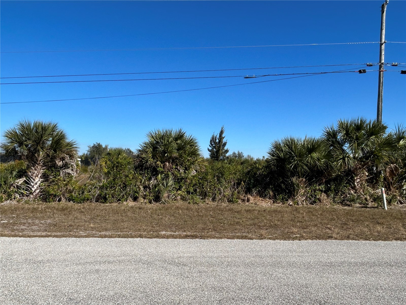 10056 Sunday Drive Port Charlotte FL 33981 D6145720 image3
