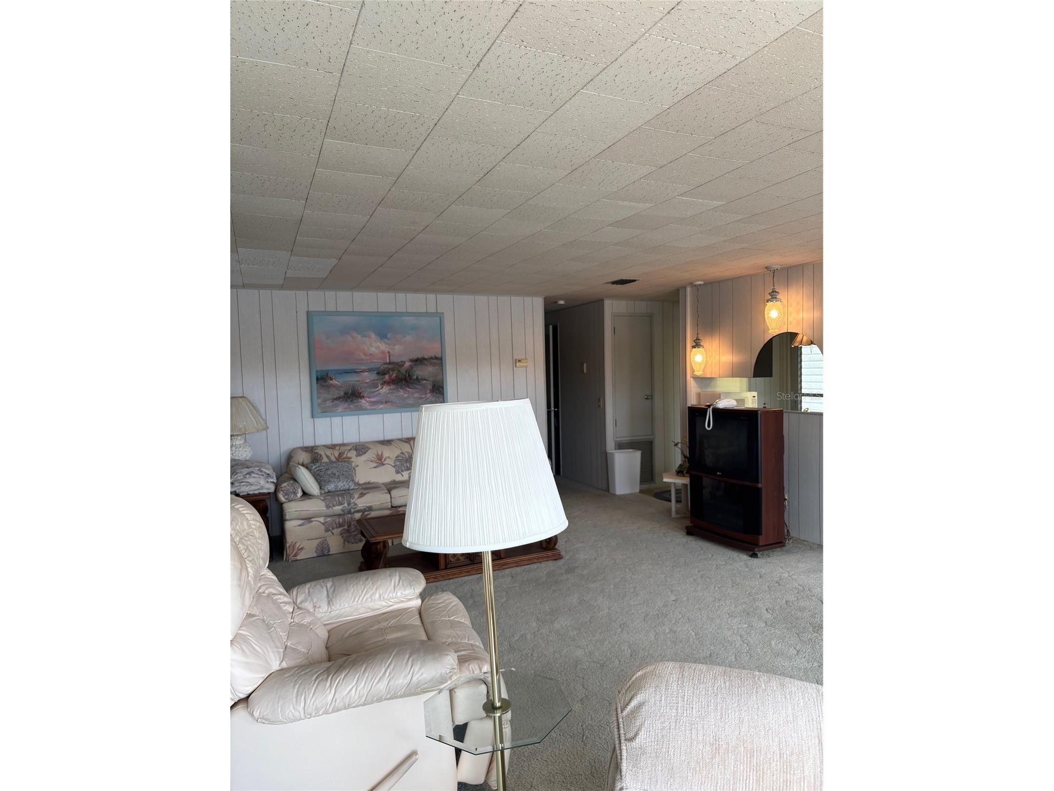 10057 110th Place #243 Largo FL 33773 - LAKE SEMINOLE TB8494098 image17
