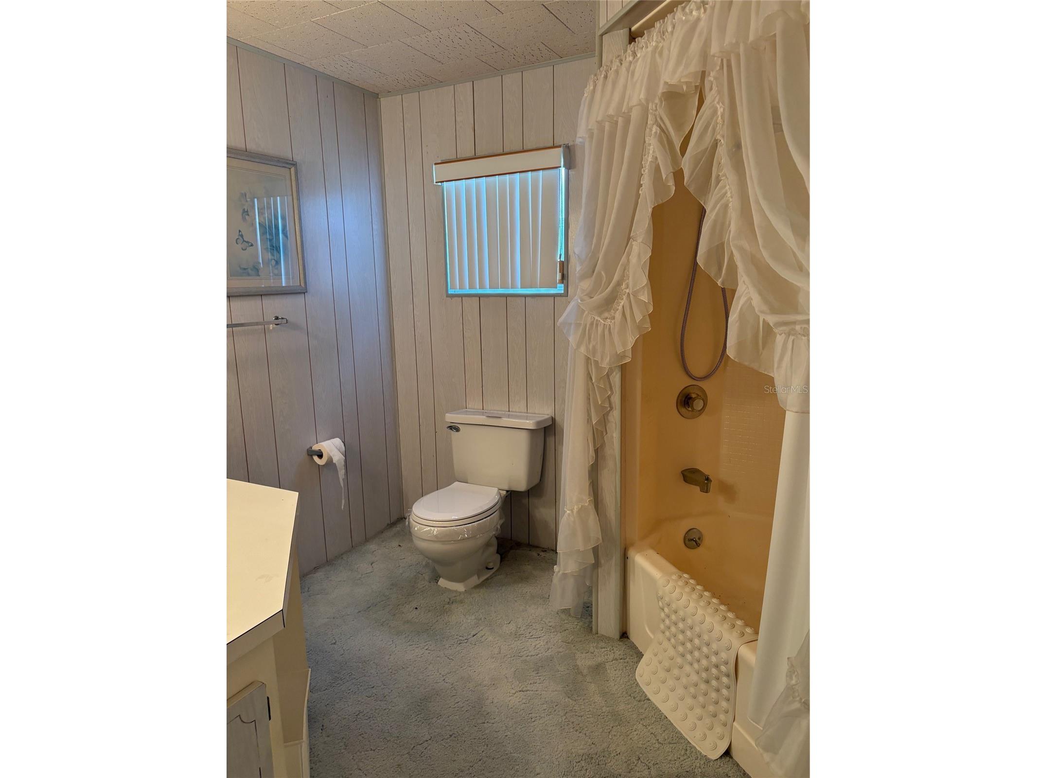 10057 110th Place #243 Largo FL 33773 - LAKE SEMINOLE TB8494098 image21