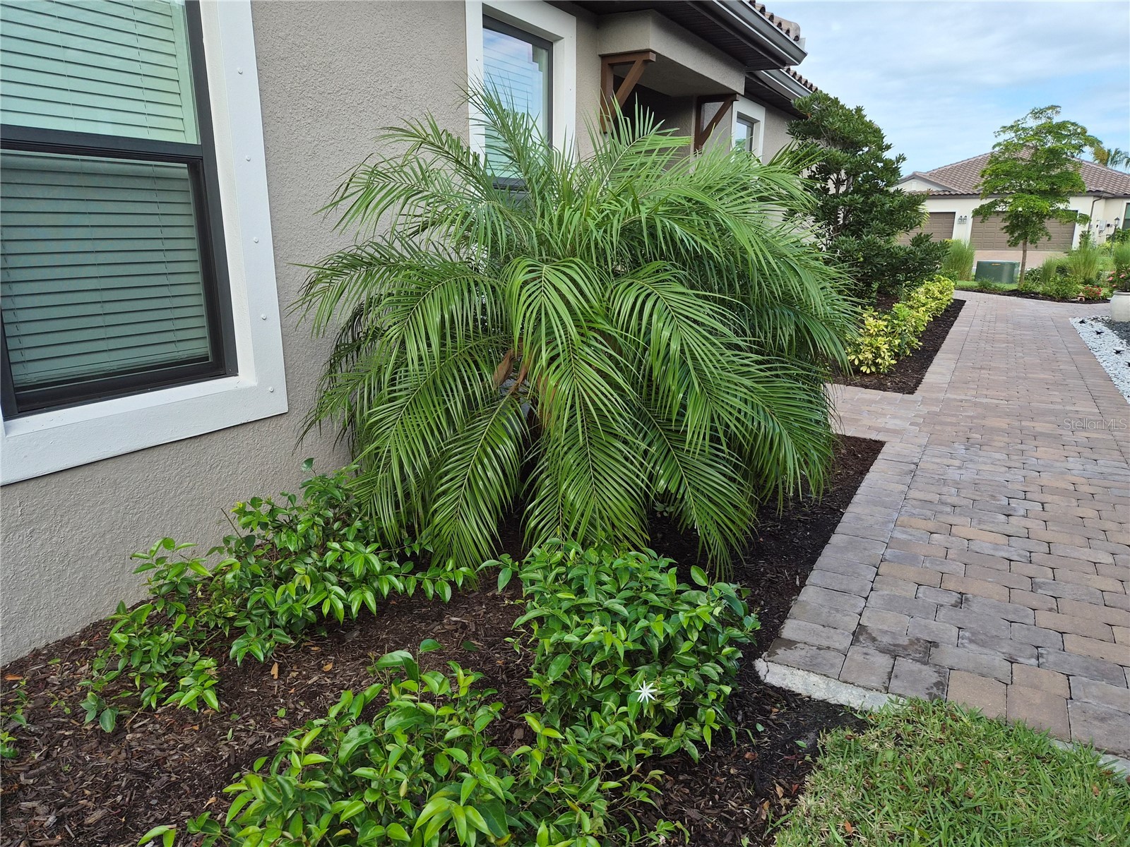 10057 Morning Mist Lane Sarasota FL 34241 A4698362 image3