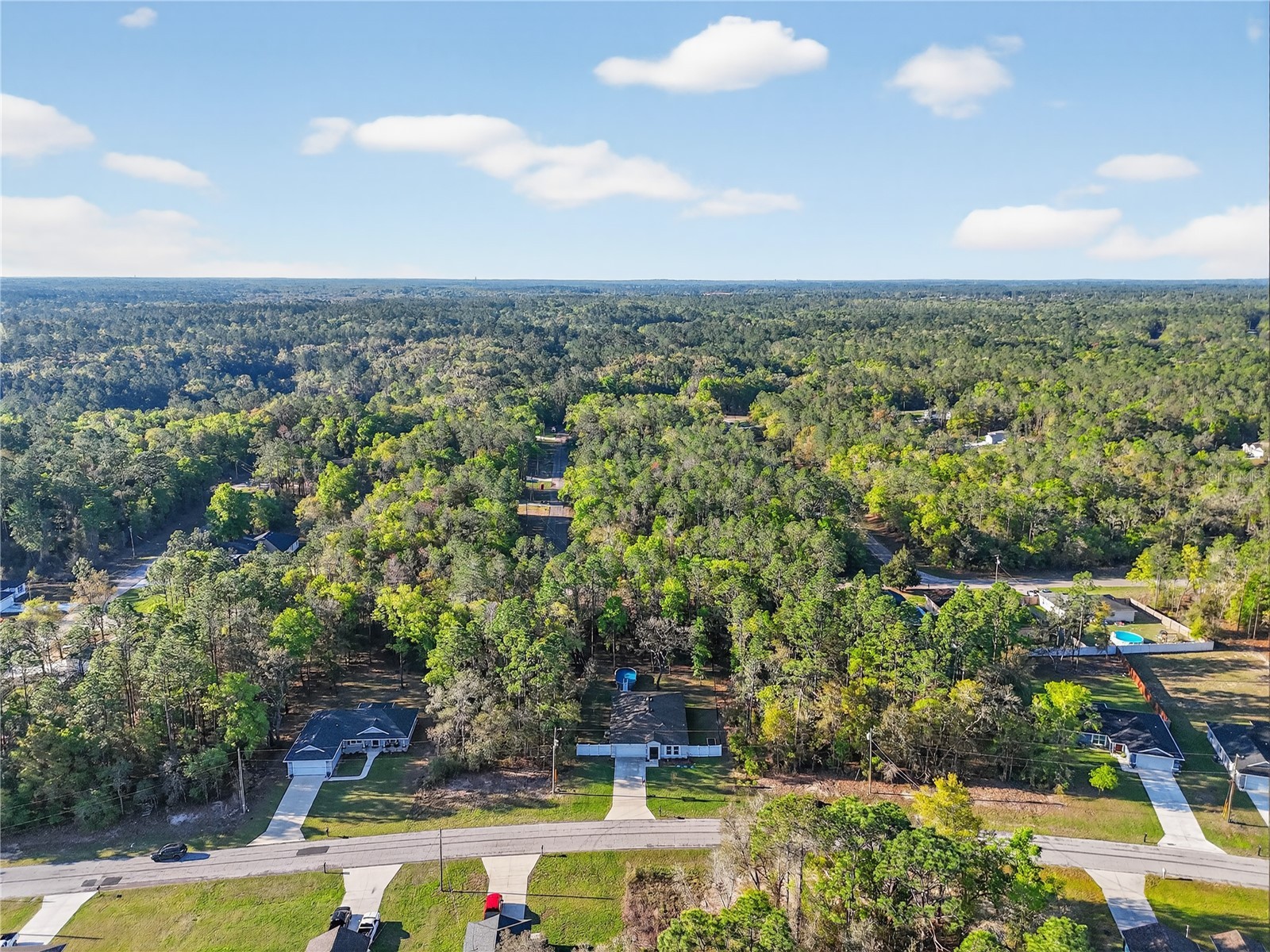 10058 N Athenia Drive Citrus Springs FL 34434 TB8488601 image30