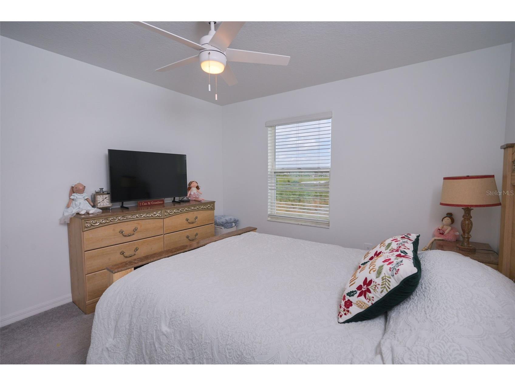 10059 Trumpet Honeysuckle Way San Antonio FL 33576 TB8493876 image29