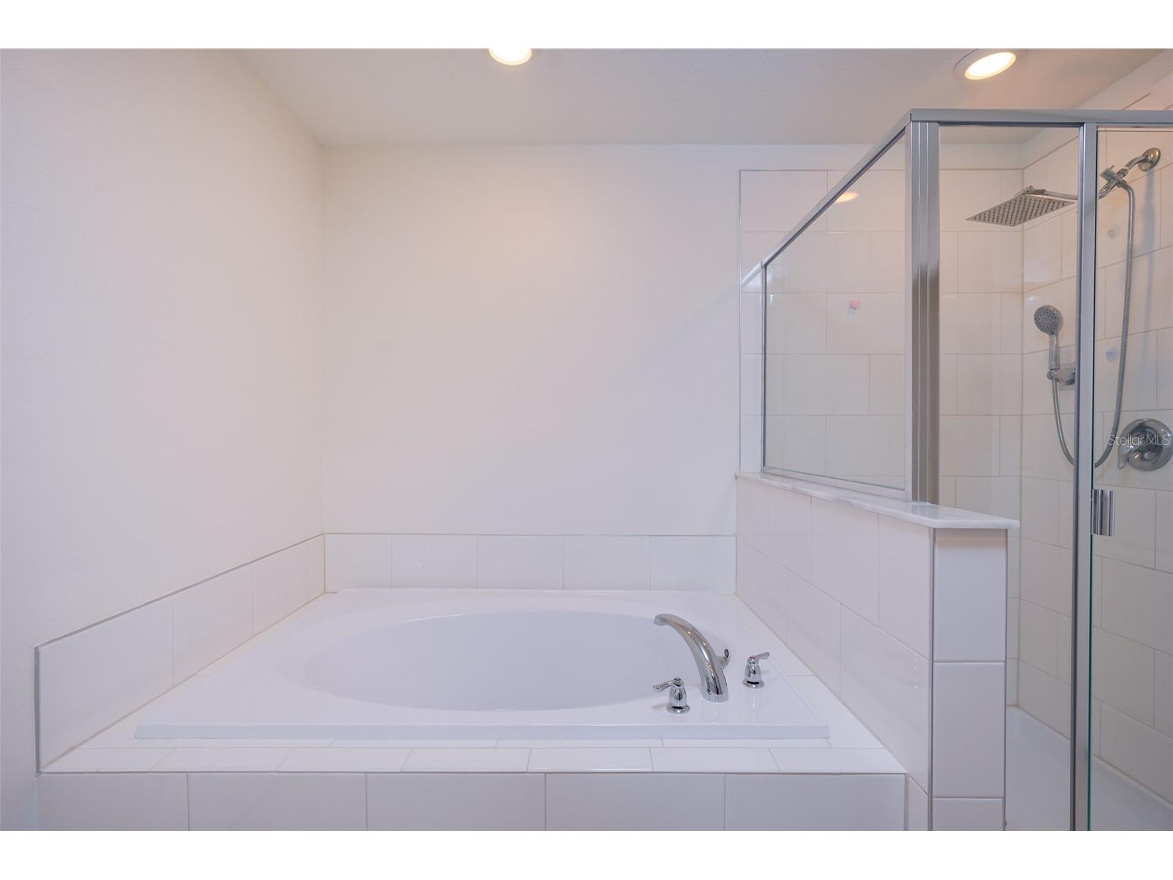 10059 Trumpet Honeysuckle Way San Antonio FL 33576 TB8493876 image36
