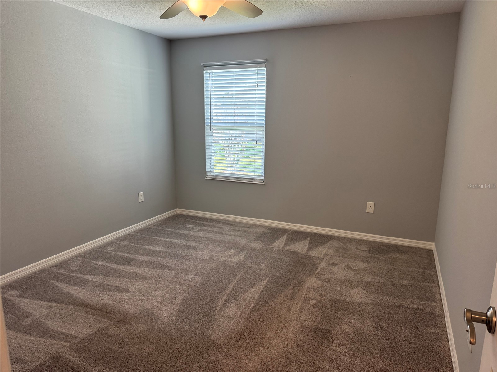 1006 Ann Avenue Lady Lake FL 32159 G5106584 image28