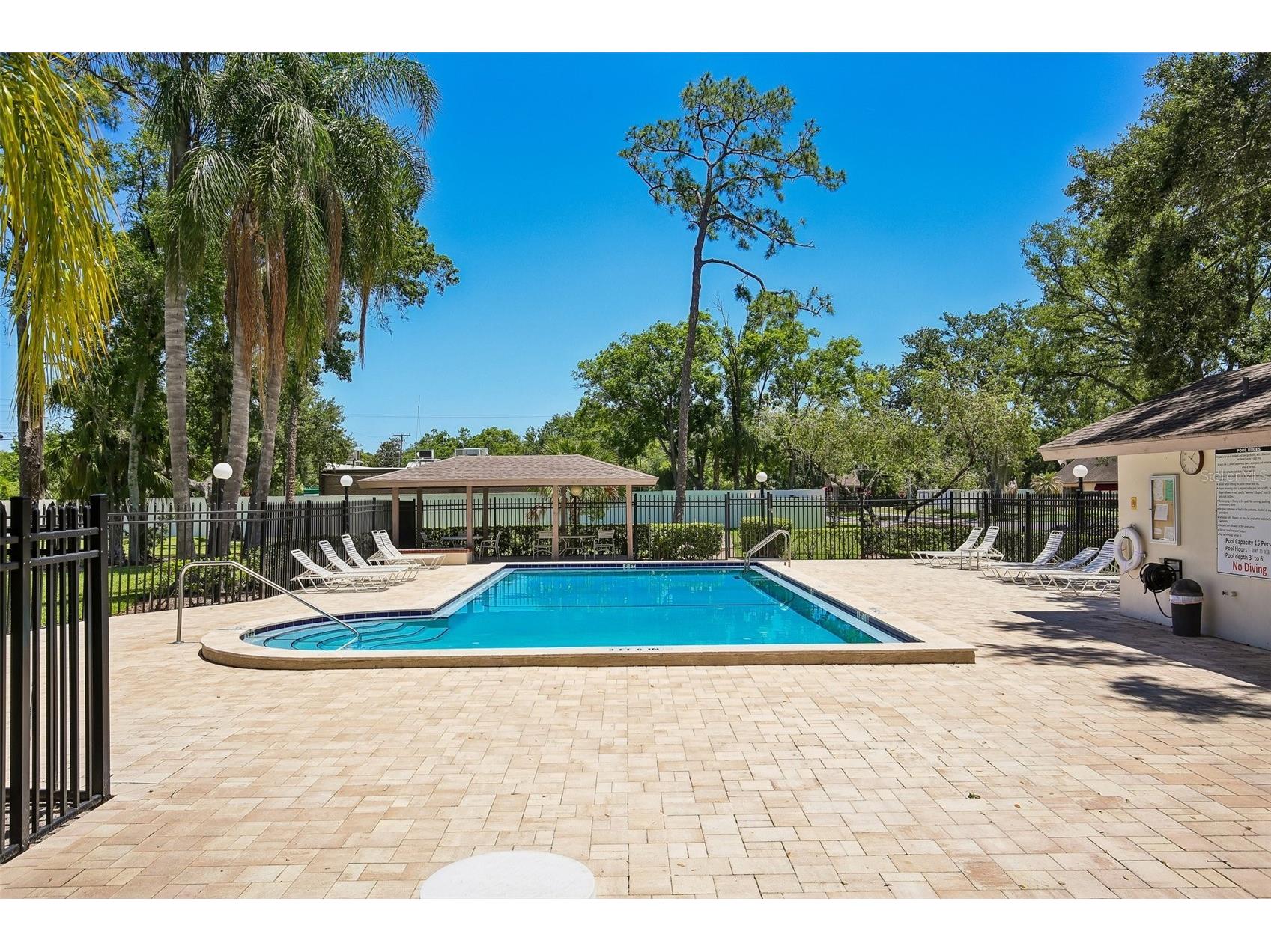 1006 Cicero Lane Brandon FL 33511 TB8506750 image40