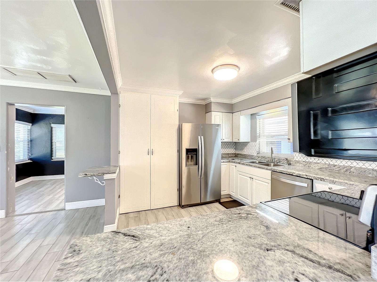 1006 E 11th Avenue Mount Dora FL 32757 O6411454 image13