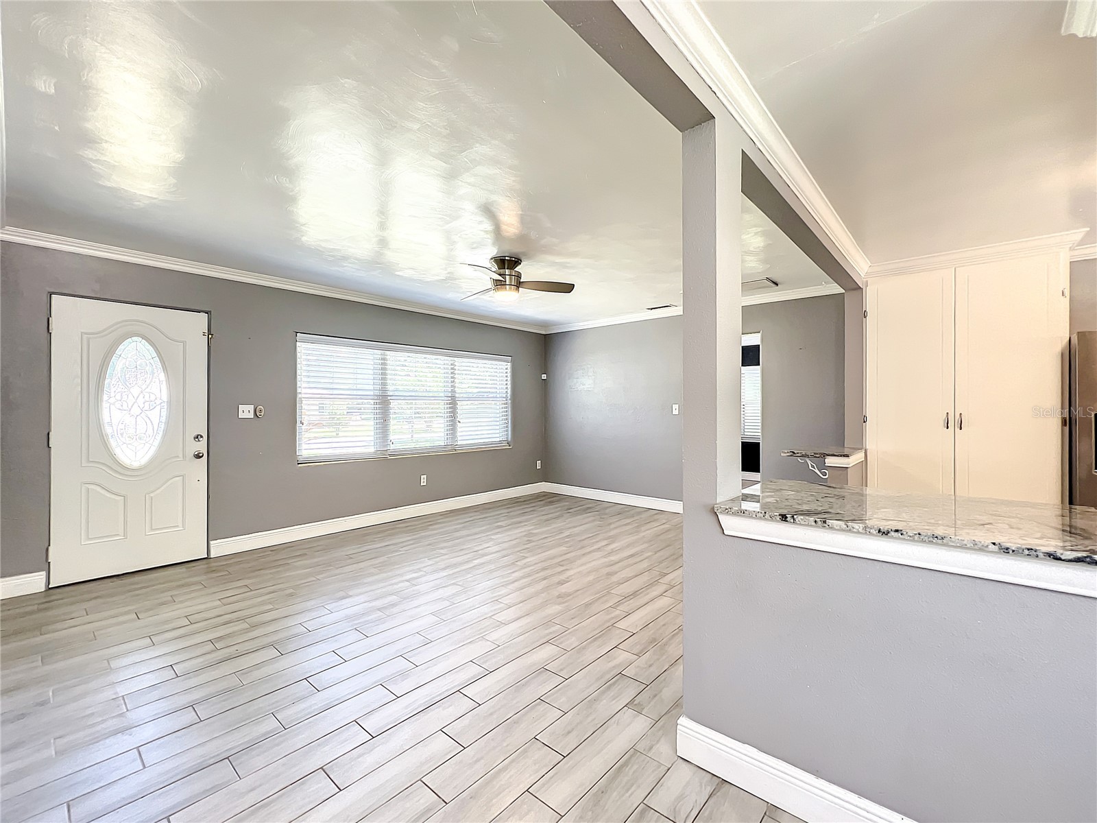 1006 E 11th Avenue Mount Dora FL 32757 O6411454 image14