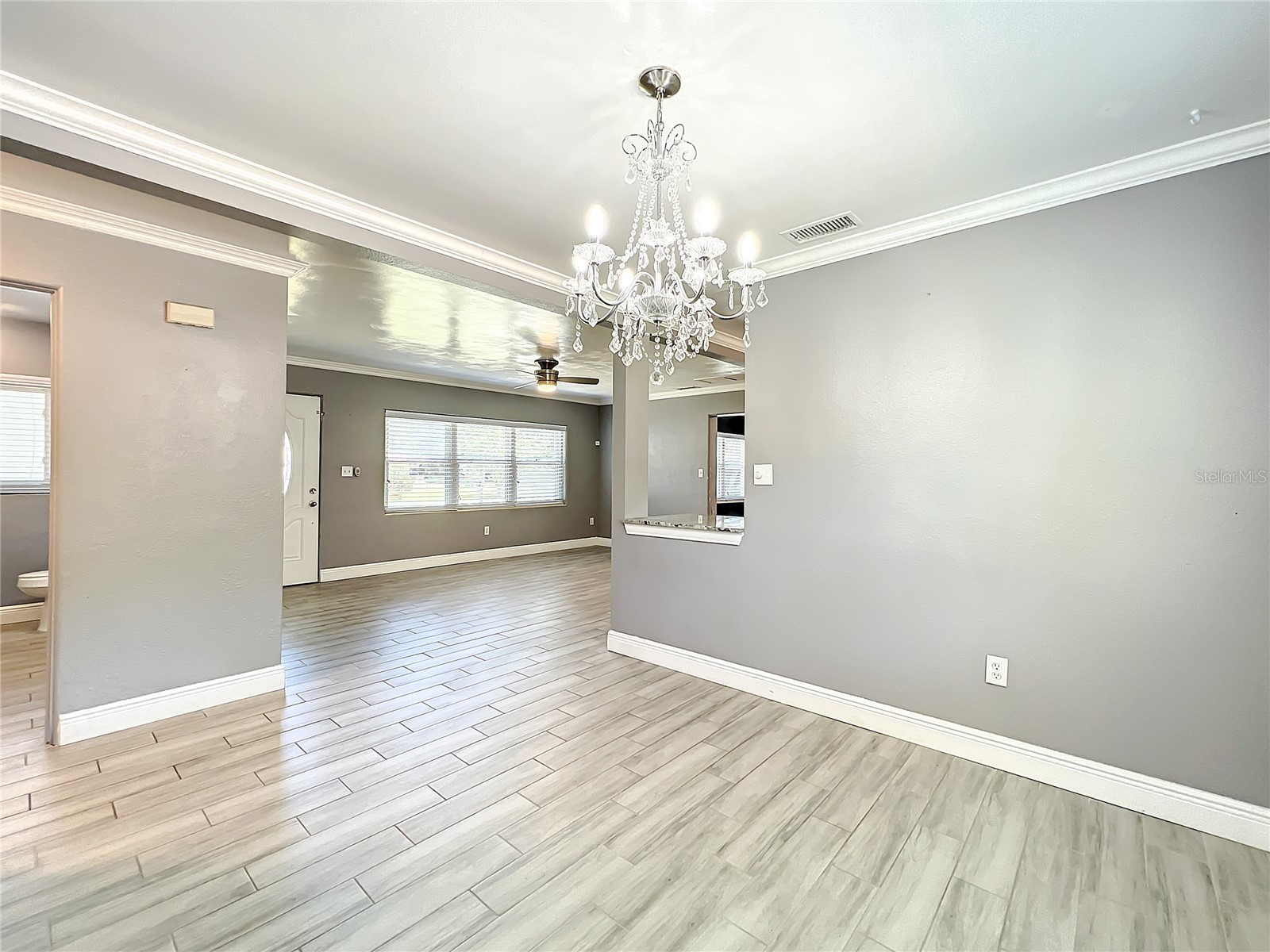 1006 E 11th Avenue Mount Dora FL 32757 O6411454 image16