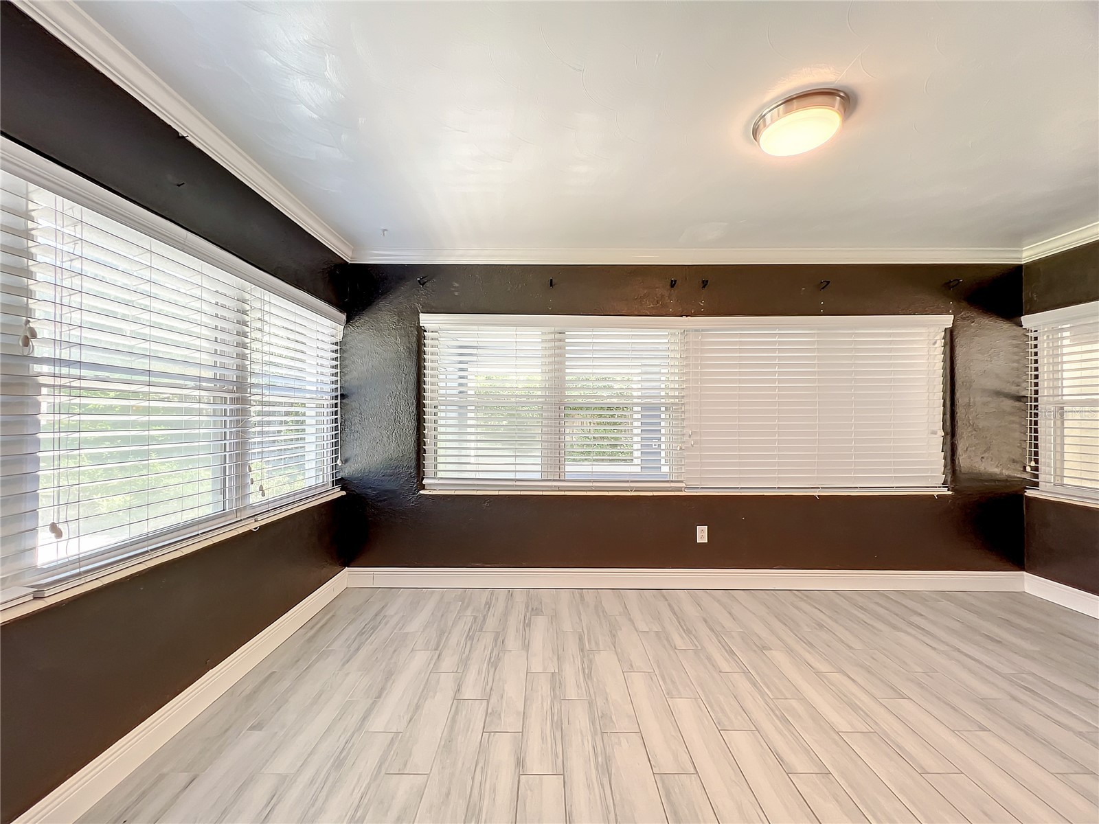 1006 E 11th Avenue Mount Dora FL 32757 O6411454 image18