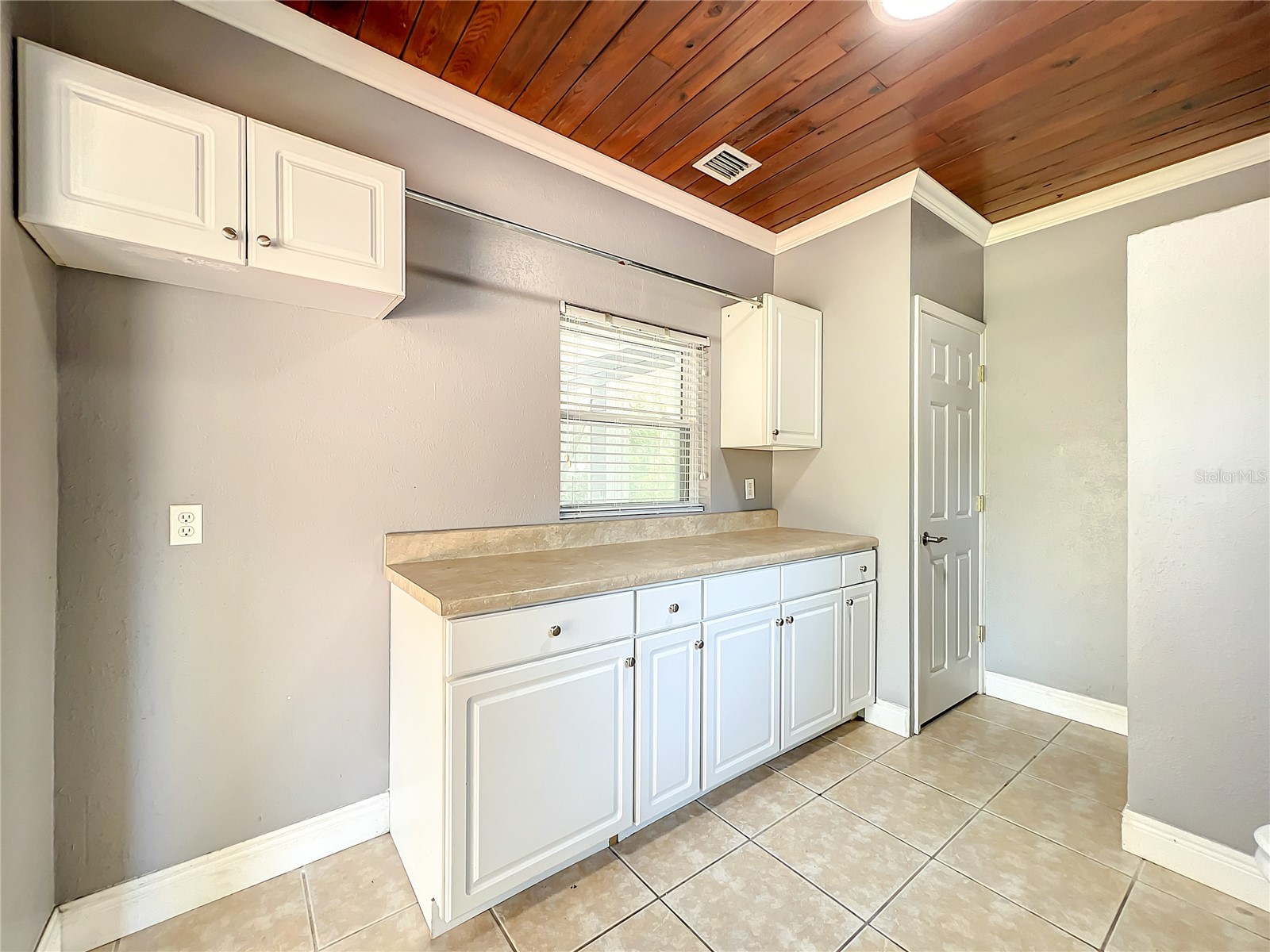 1006 E 11th Avenue Mount Dora FL 32757 O6411454 image21
