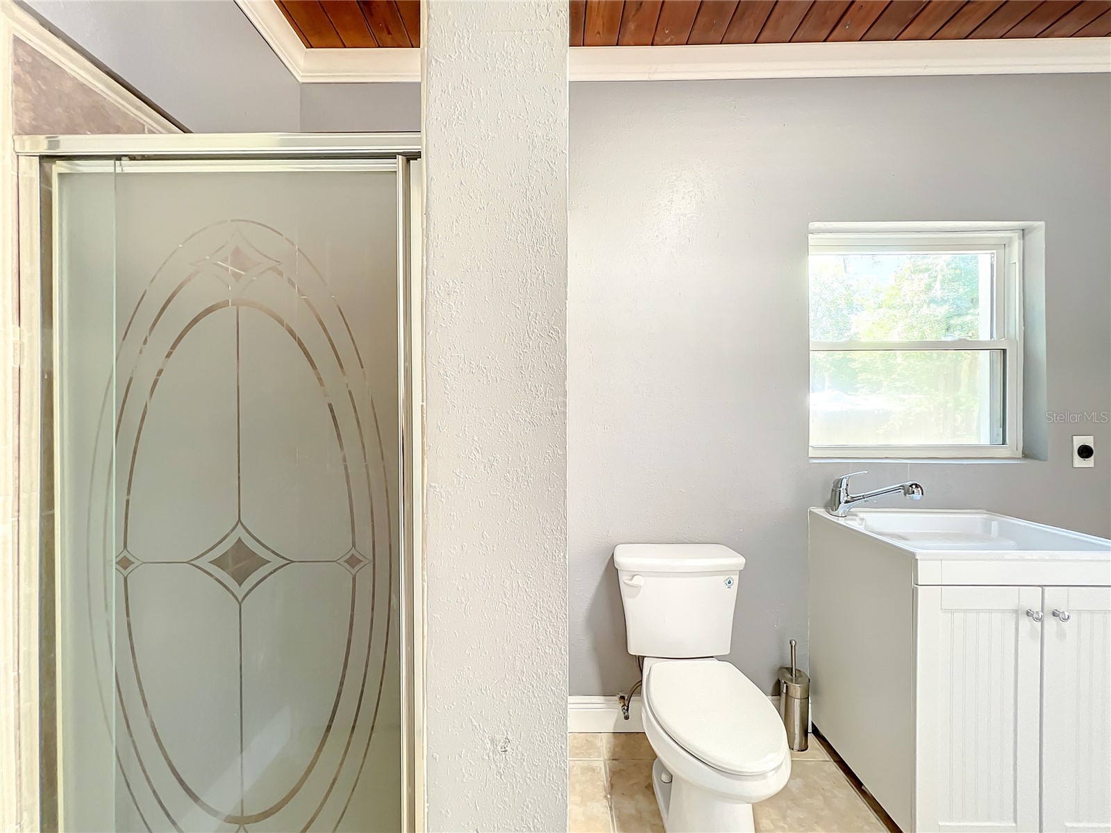 1006 E 11th Avenue Mount Dora FL 32757 O6411454 image23