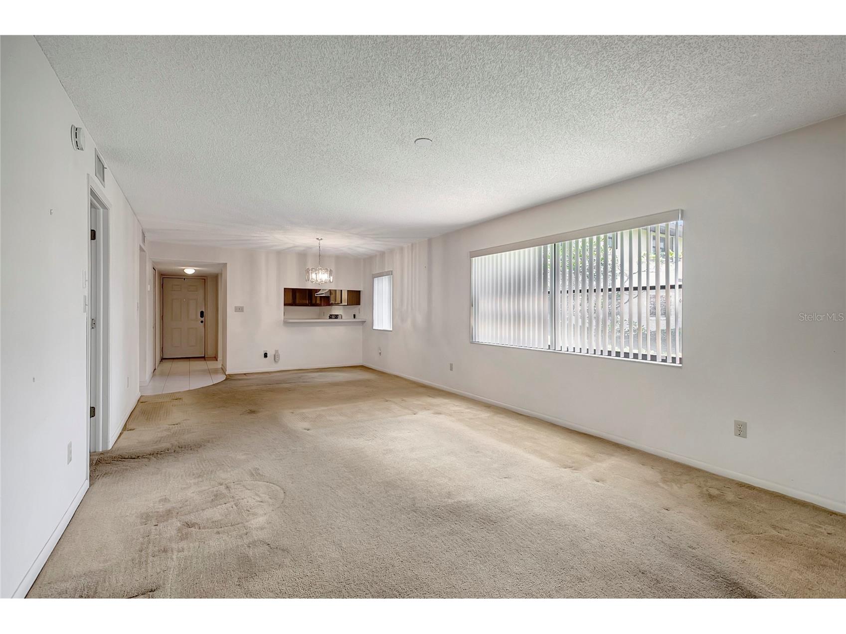 1006 Hammock Pine Boulevard #1006 Clearwater FL 33761 TB8493410 image15