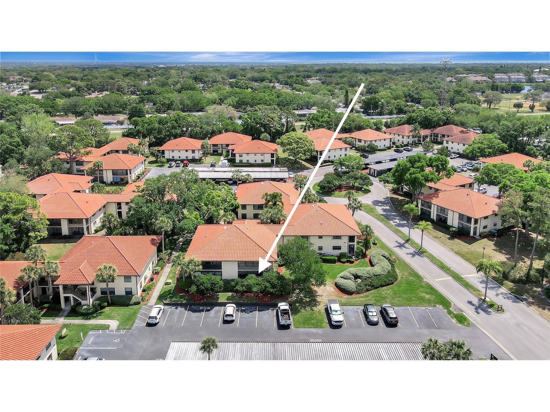 1006 Hammock Pine Boulevard #1006 Clearwater FL 33761 TB8493410 image40