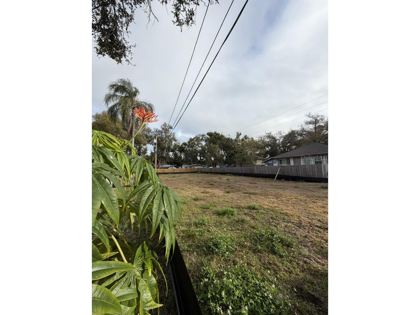 1006 Jones Street Clearwater FL 33755 TB8469012 image3