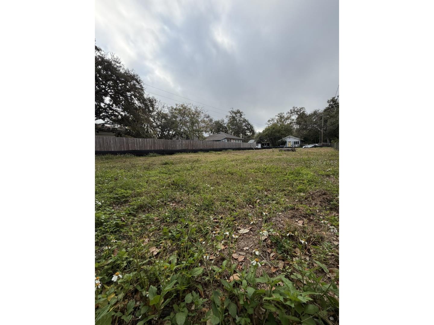 1006 Jones Street Clearwater FL 33755 TB8469012 image6